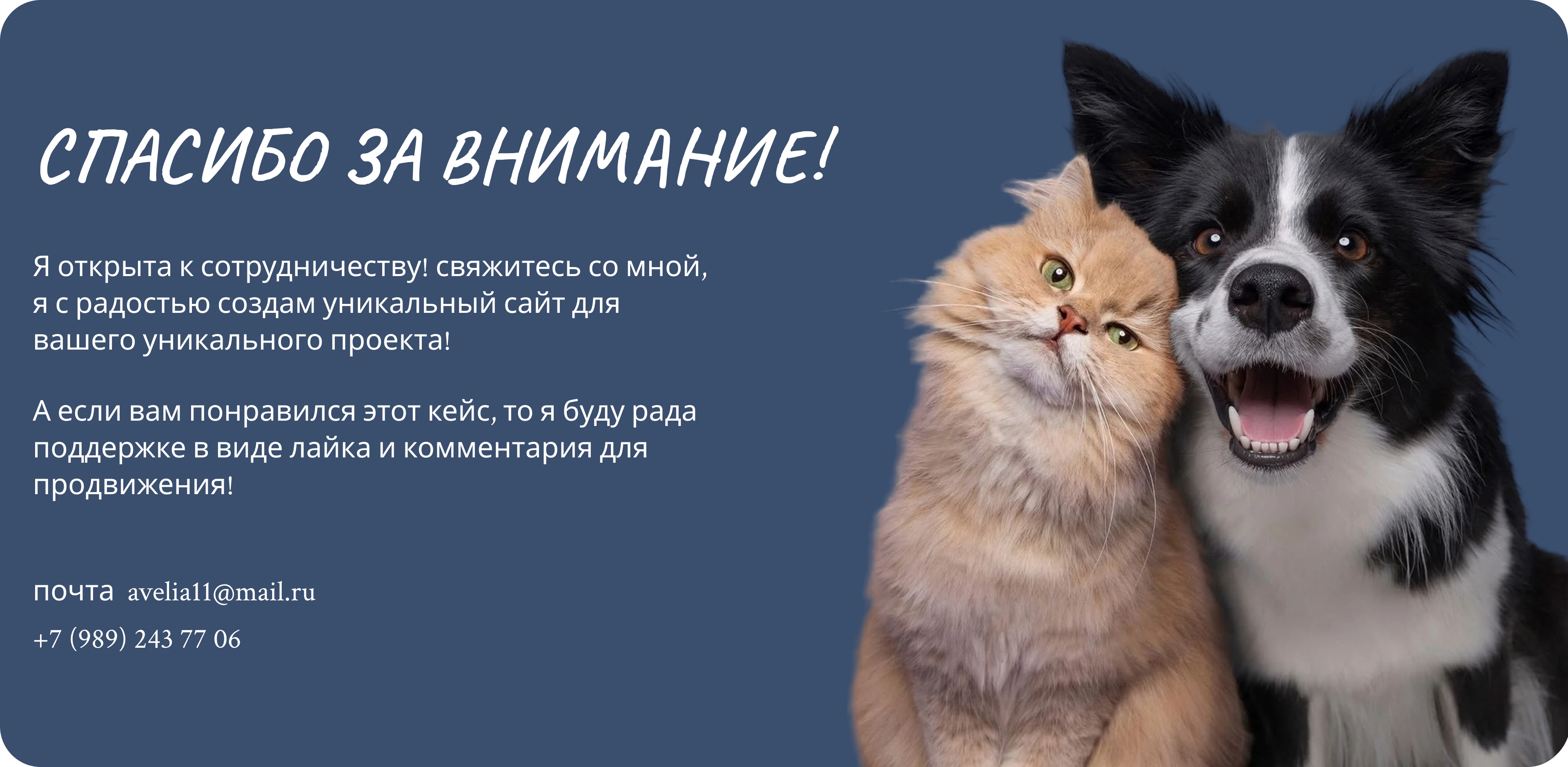 Лапки и хвостики / Web-Site Deign — Изображение №6 — Интерфейсы на Dprofile