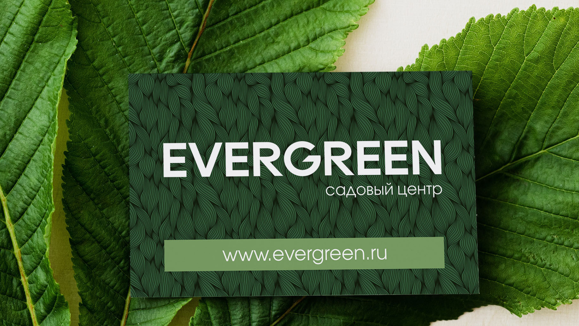 Садовый центр Evergreen — Изображение №3 — Брендинг, Графика на Dprofile