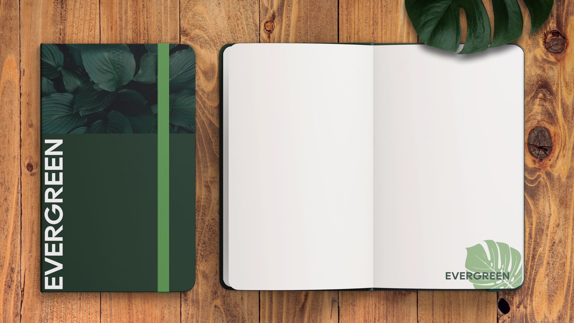 Садовый центр Evergreen — Изображение №5 — Брендинг, Графика на Dprofile