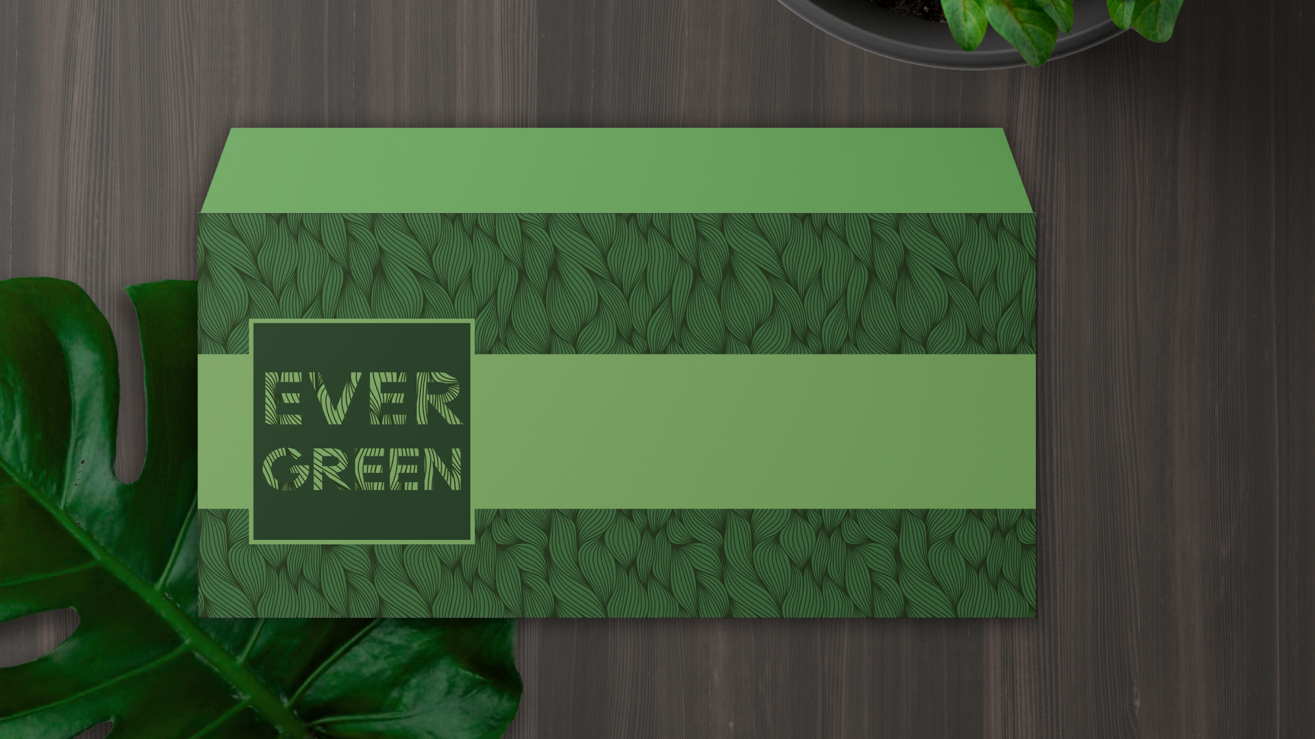 Садовый центр Evergreen — Изображение №10 — Брендинг, Графика на Dprofile