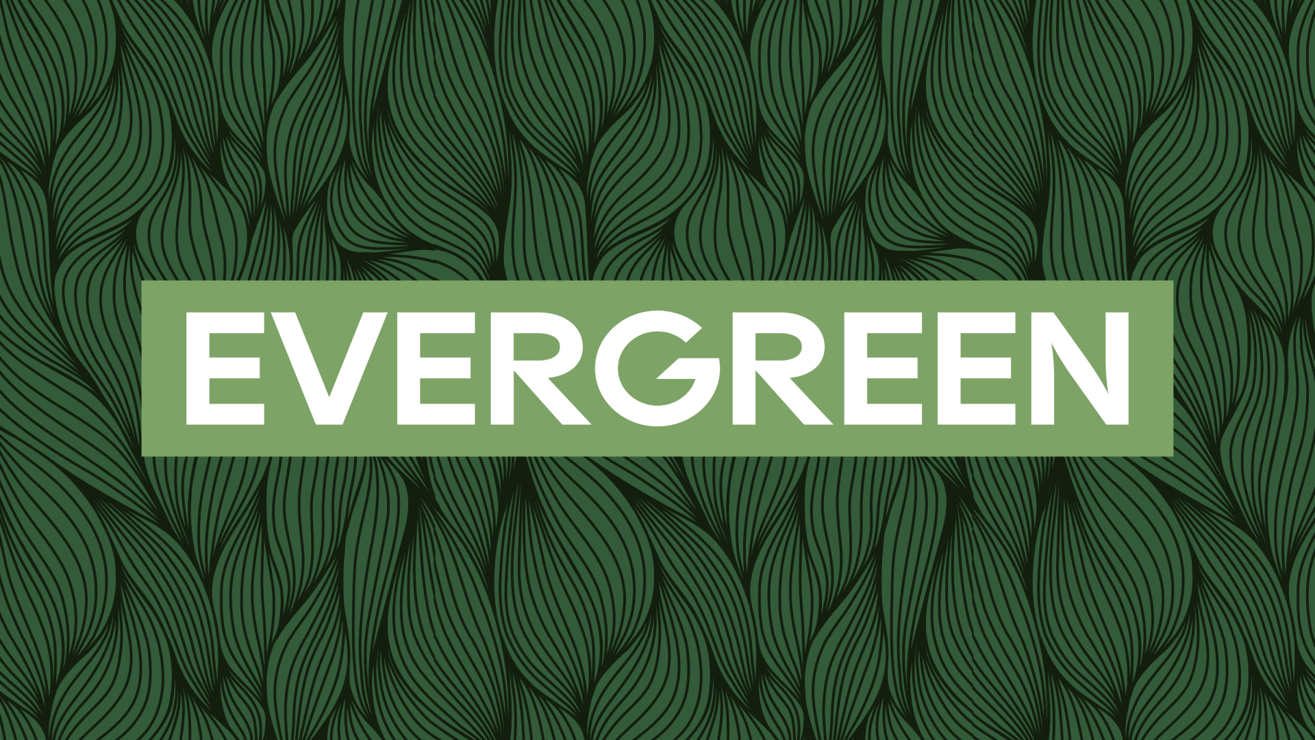 Садовый центр Evergreen — Изображение №1 — Брендинг, Графика на Dprofile
