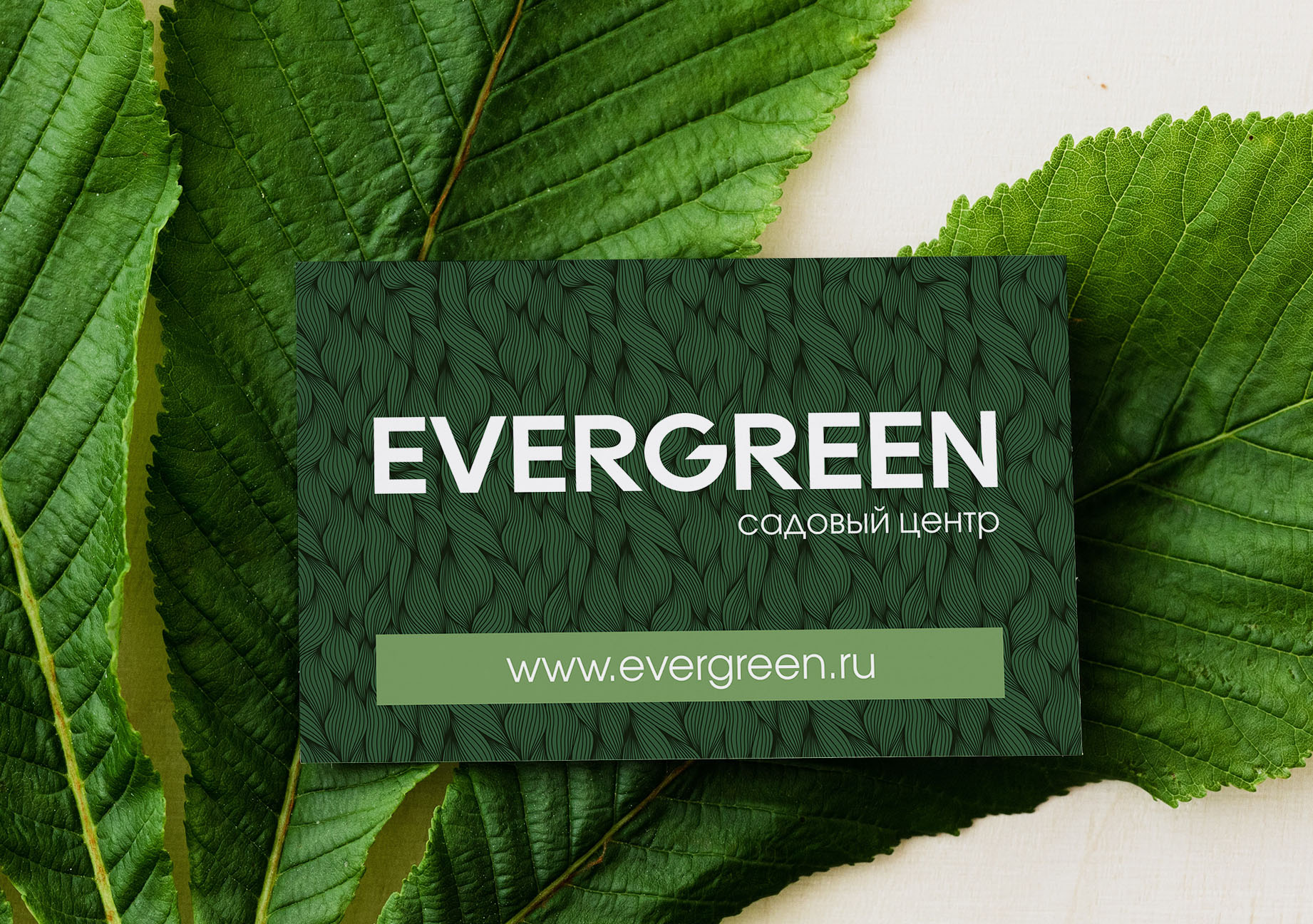 Садовый центр Evergreen — Изображение №2 — Брендинг, Графика на Dprofile