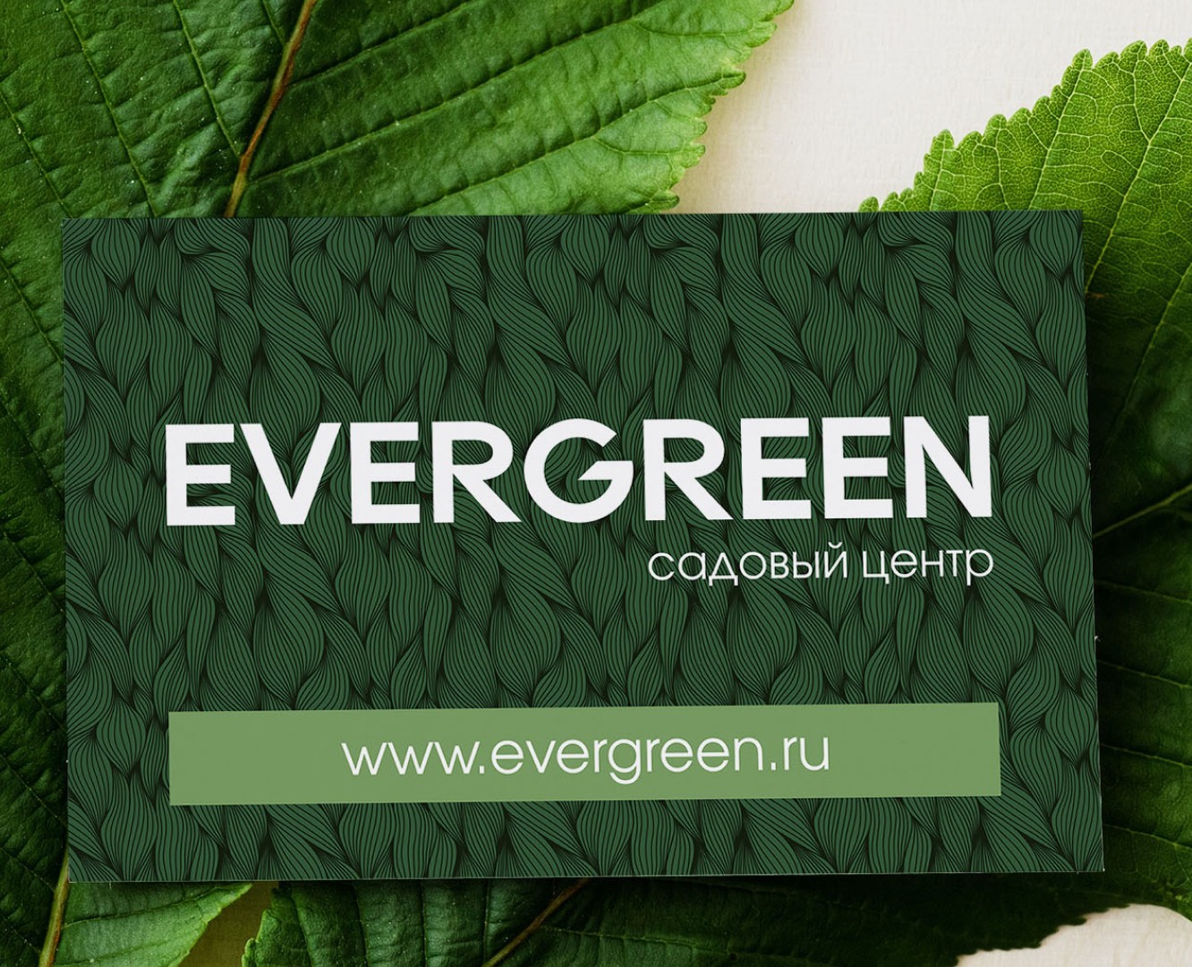 Садовый центр Evergreen — Брендинг, Графика на Dprofile