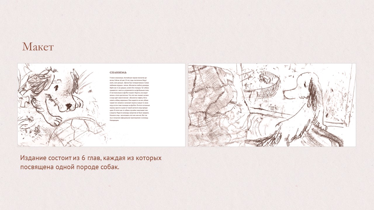 Дизайн многостраничного издания о собаках "Друзья" — Изображение №4 — Графика на Dprofile