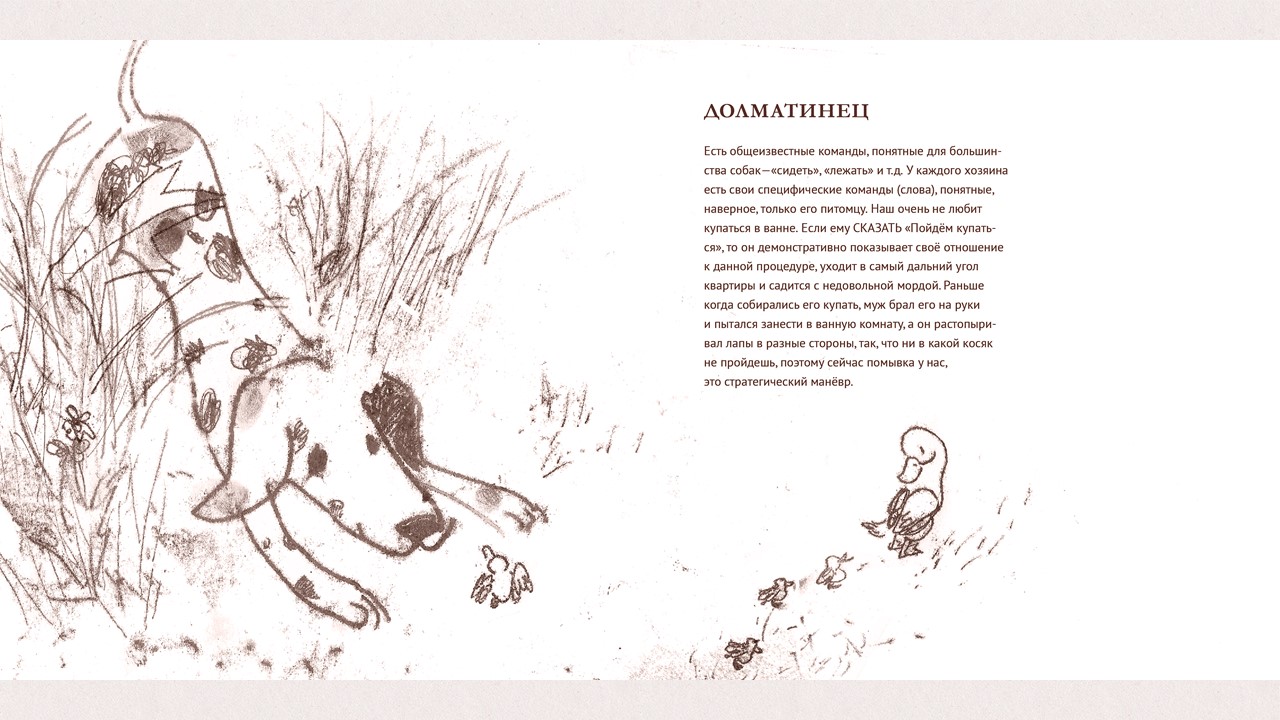 Дизайн многостраничного издания о собаках "Друзья" — Изображение №18 — Графика на Dprofile