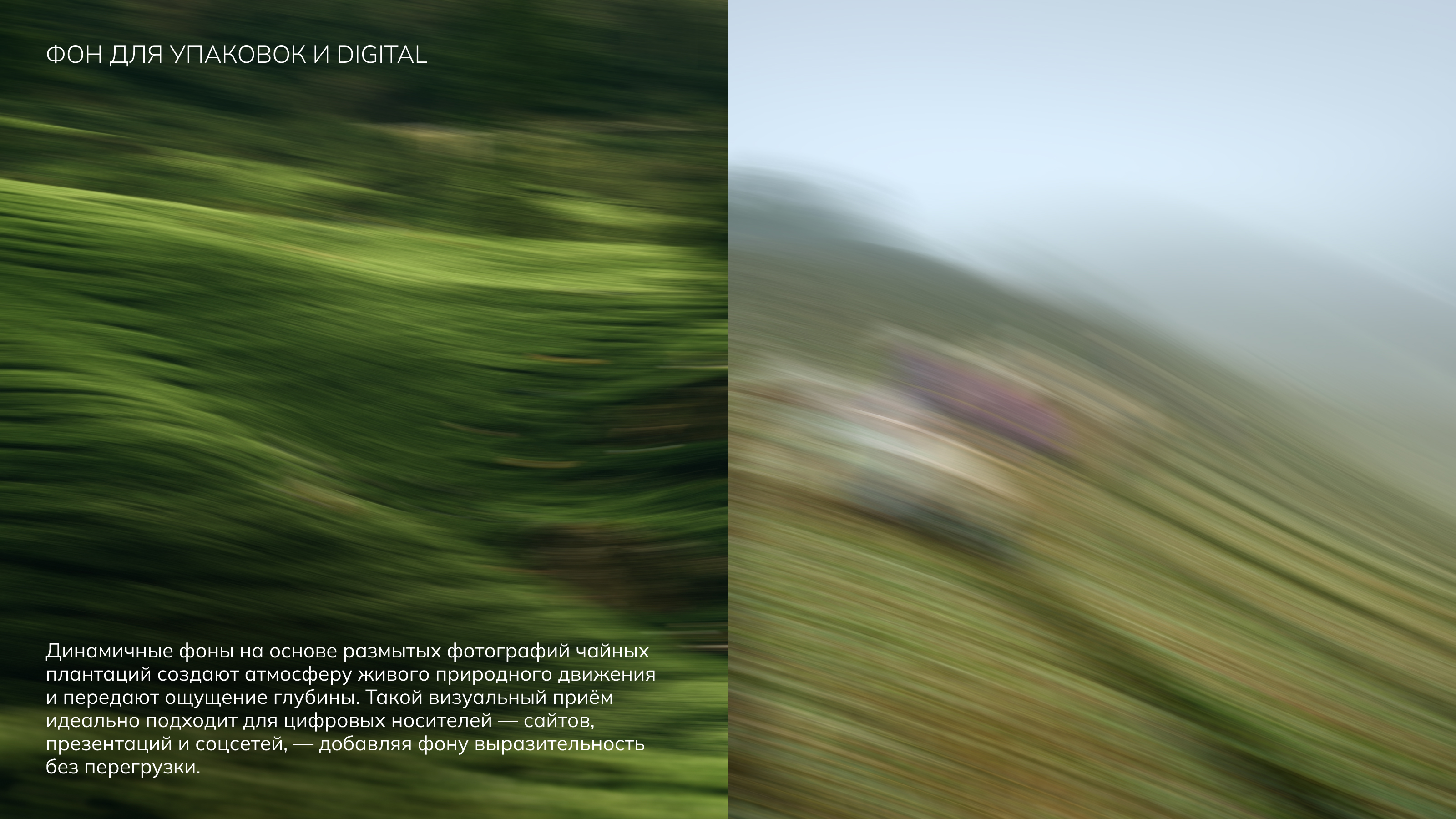 Первая чайная компания — Изображение №9 — Брендинг, Графика на Dprofile