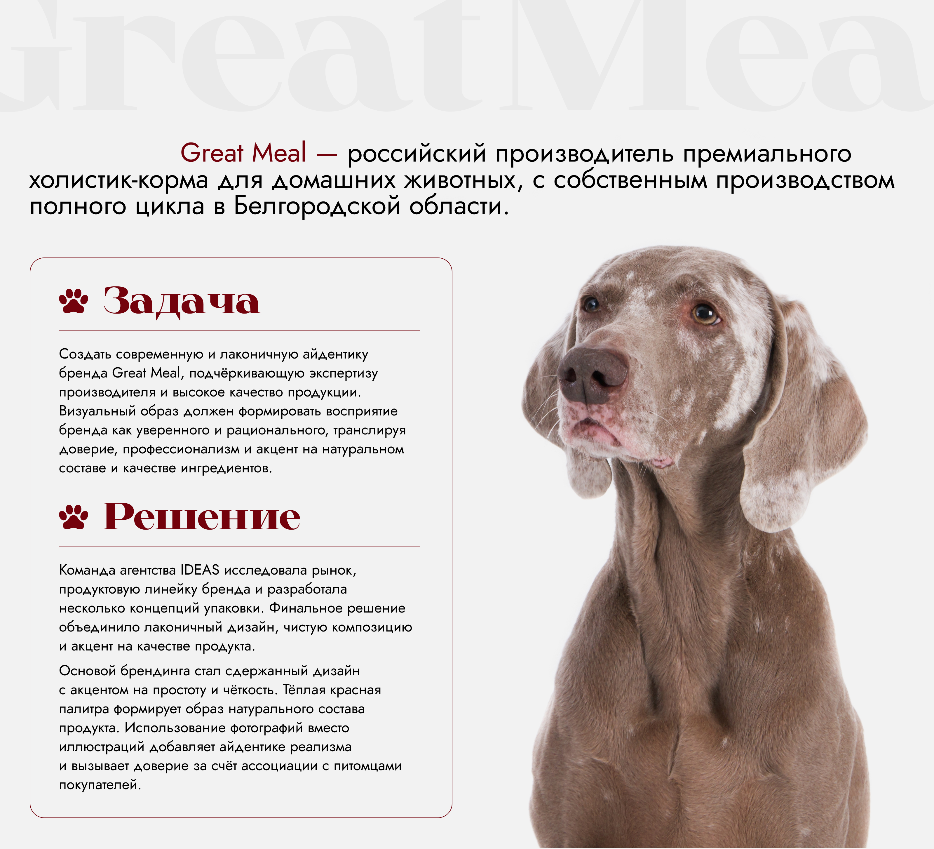 Great Meal — Изображение №2 — Брендинг, Промдизайн на Dprofile