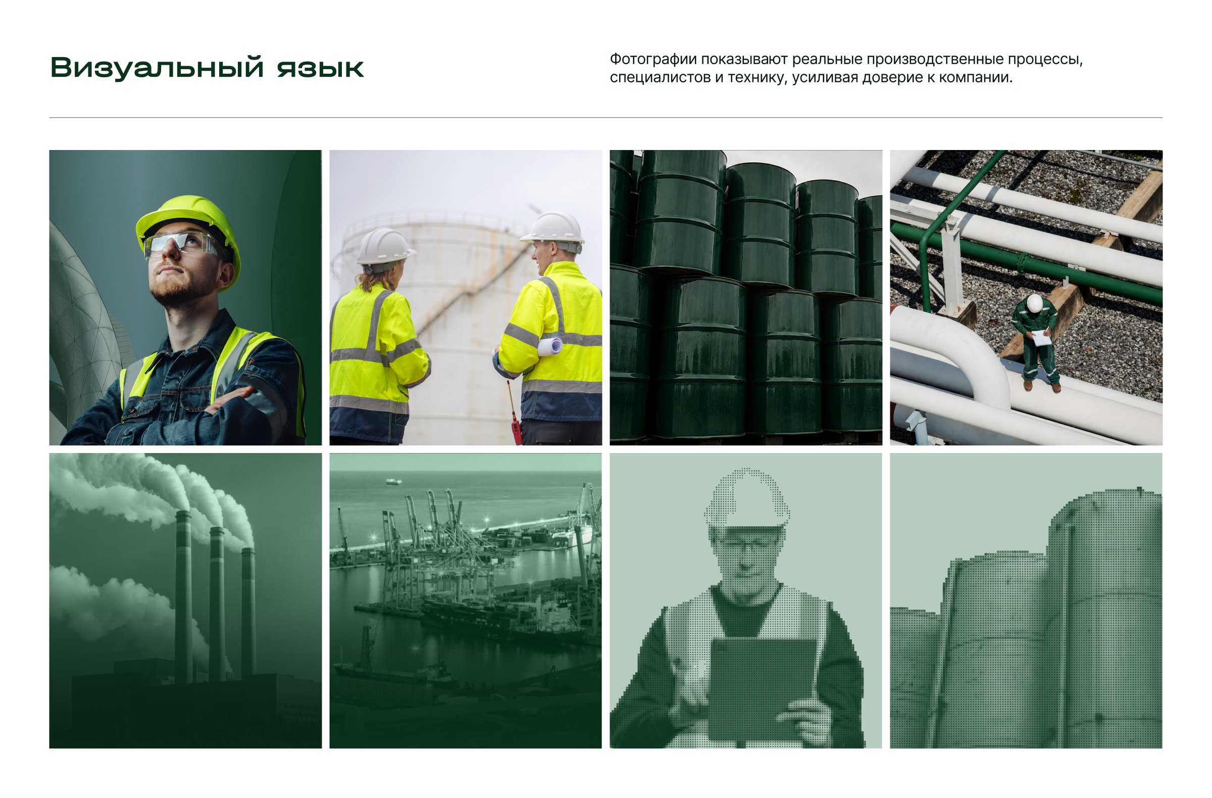Эколог — Изображение №8 — Интерфейсы, Брендинг на Dprofile