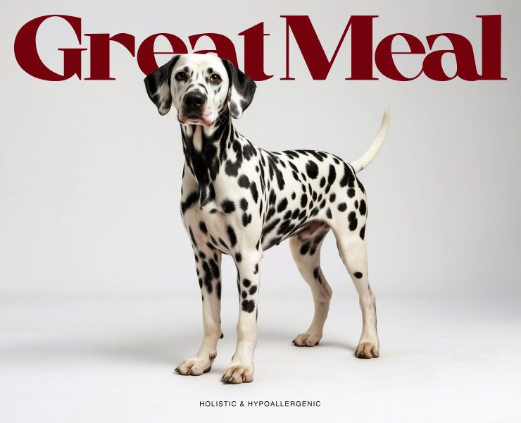 Great Meal на Dprofile