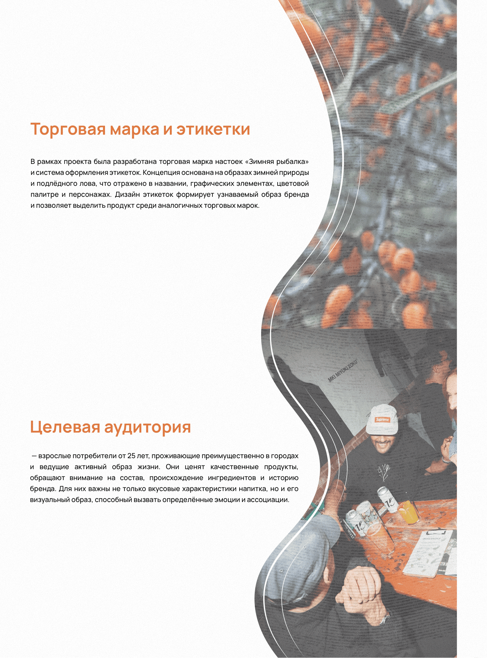 Торговая марка "Зимняя рыбалка" — Изображение №2 — Брендинг, Графика на Dprofile