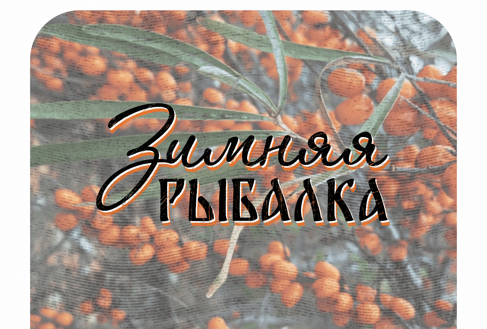 Торговая марка "Зимняя рыбалка" — Изображение №1 — Брендинг, Графика на Dprofile