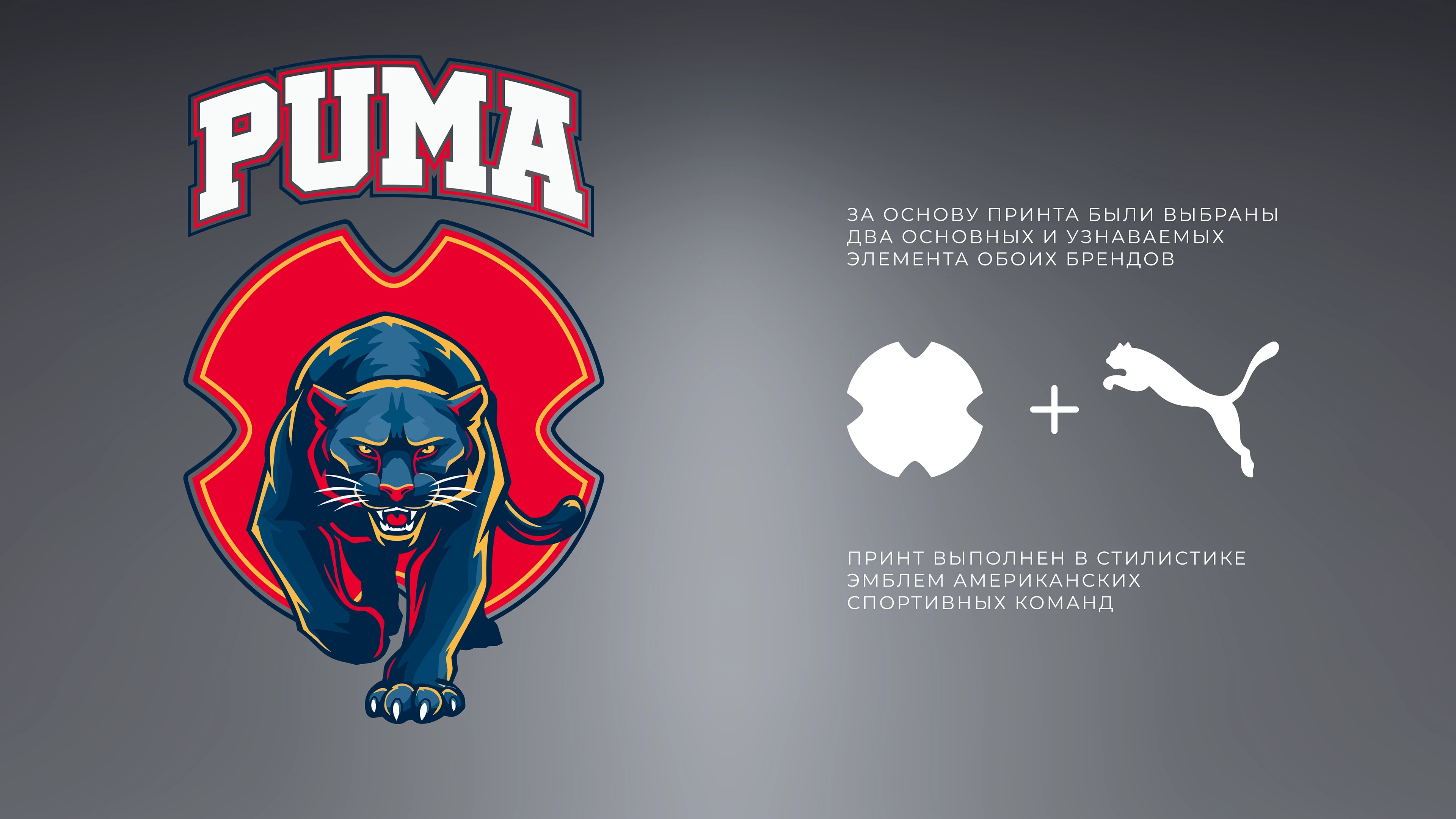 HP X PUMA MOLDOVA — Изображение №4 — Брендинг на Dprofile