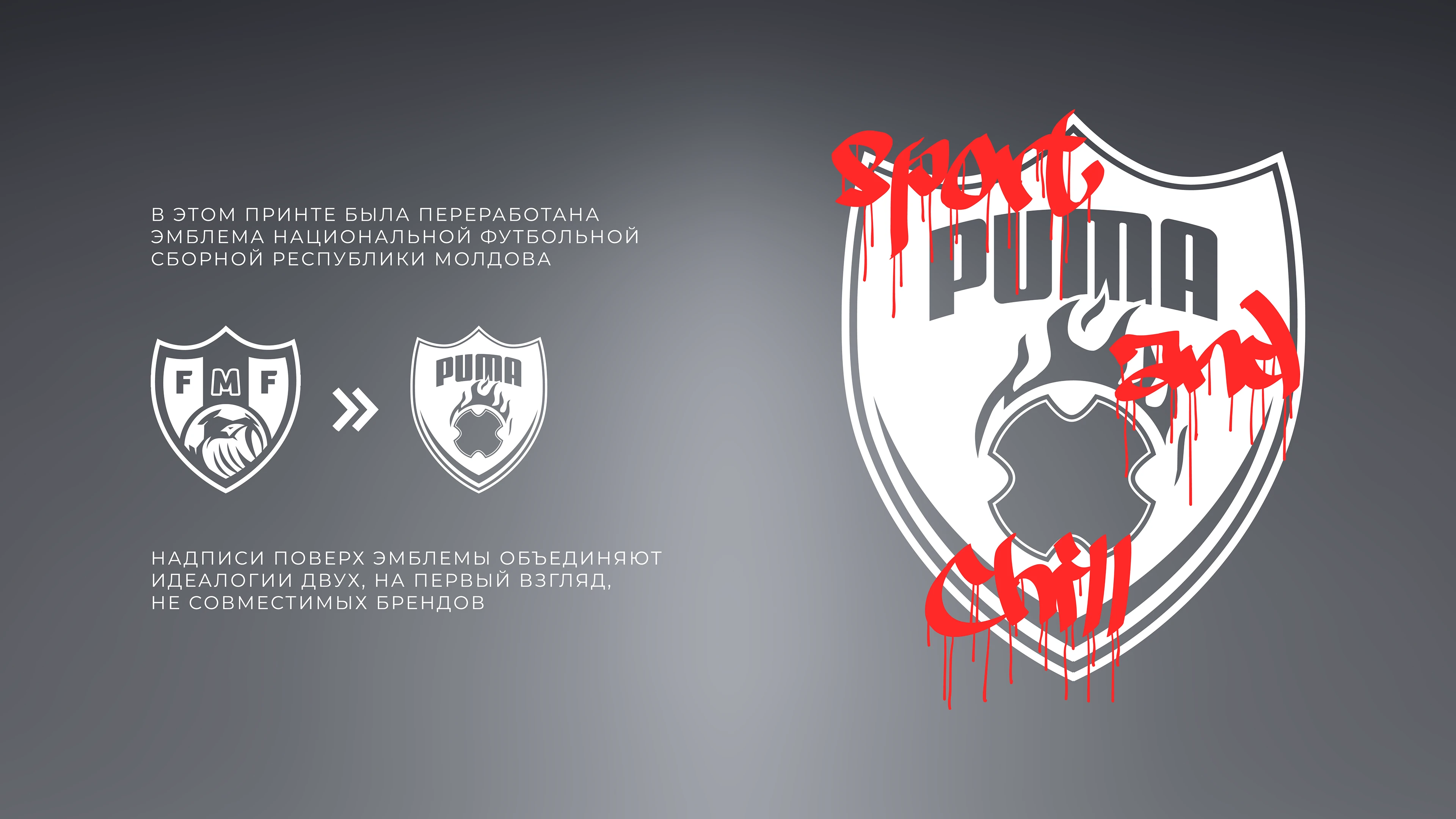 HP X PUMA MOLDOVA — Изображение №8 — Брендинг на Dprofile