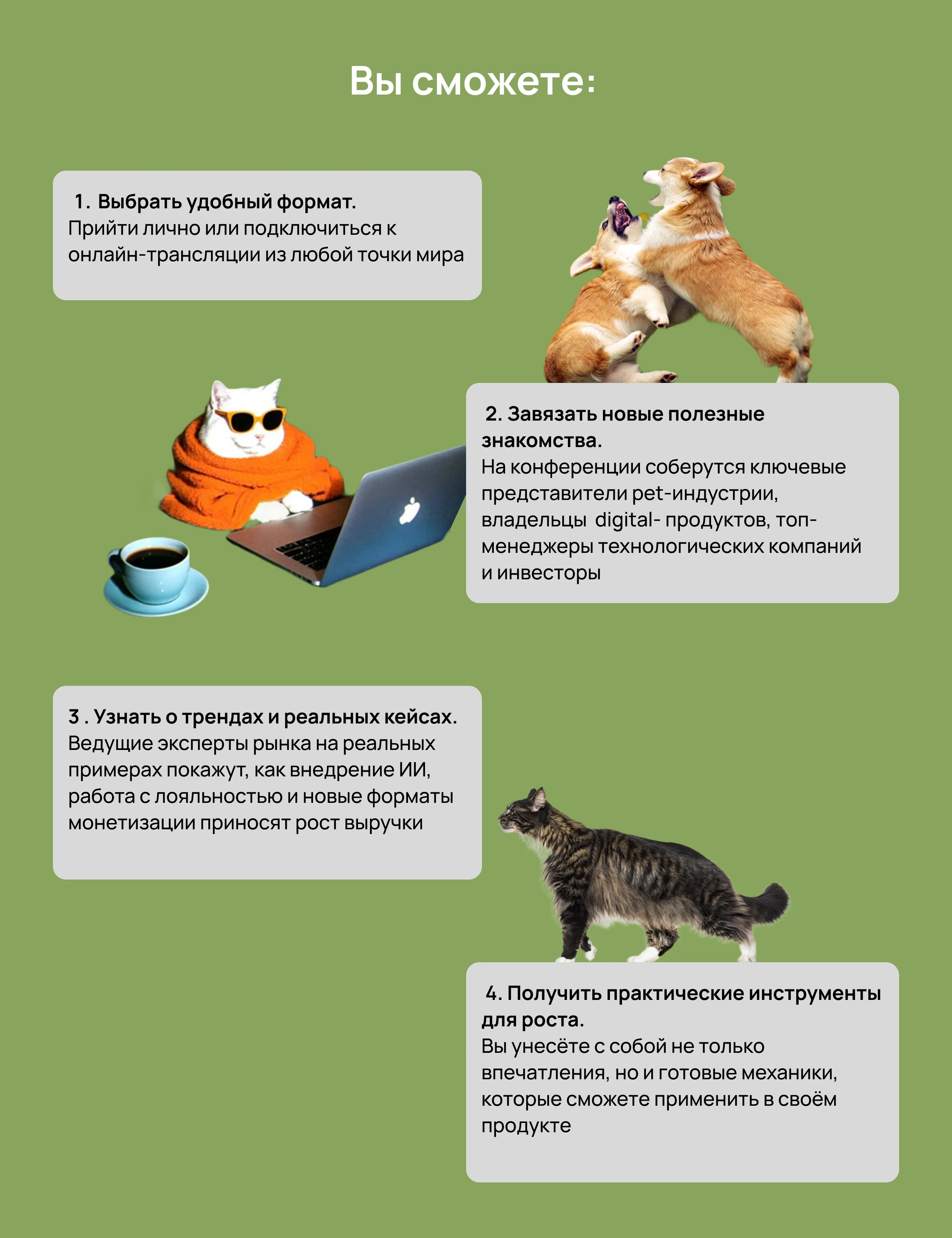 Yandex pet day — Изображение №2 — Интерфейсы на Dprofile