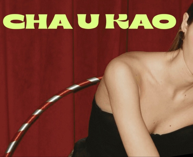 Cha U Kao — Графика, Маркетинг на Dprofile