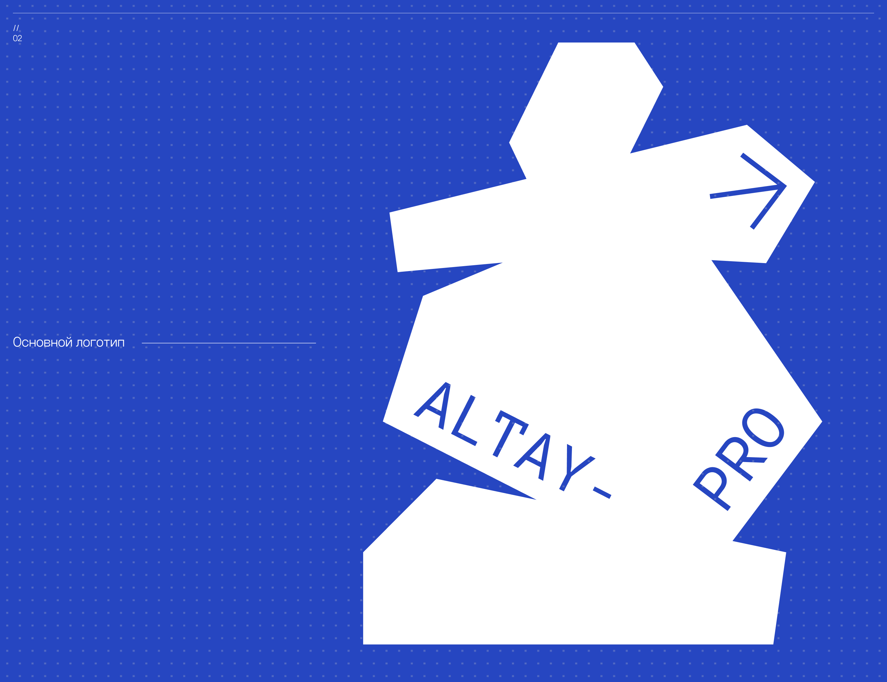 Altay-Pro / Active travel brand — Изображение №8 — Интерфейсы, Брендинг на Dprofile