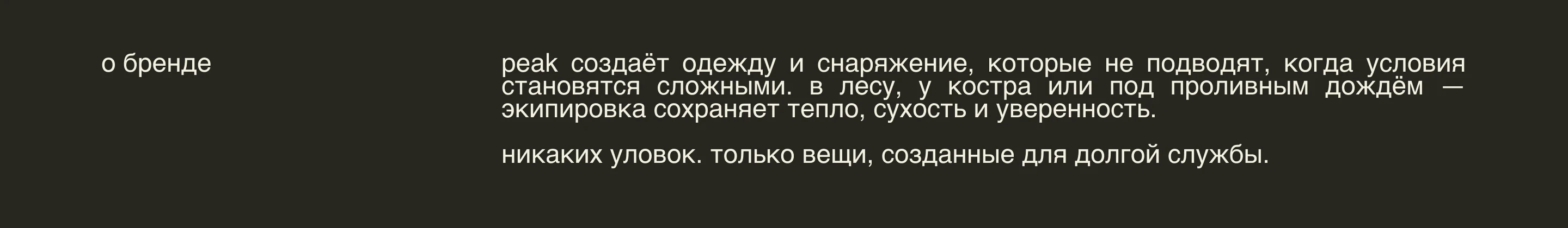 фирменный стиль | логотип | снаряжение для туризма — Изображение №2 — Брендинг на Dprofile