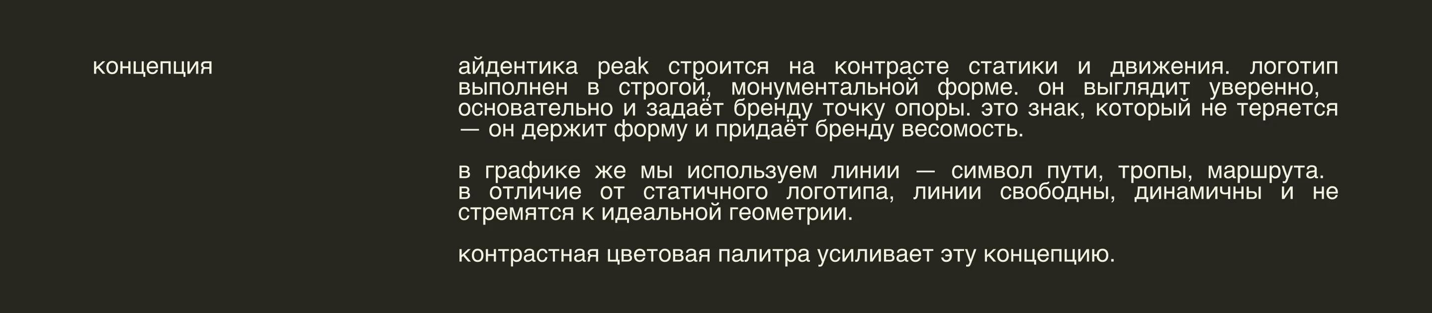 фирменный стиль | логотип | снаряжение для туризма — Изображение №4 — Брендинг на Dprofile
