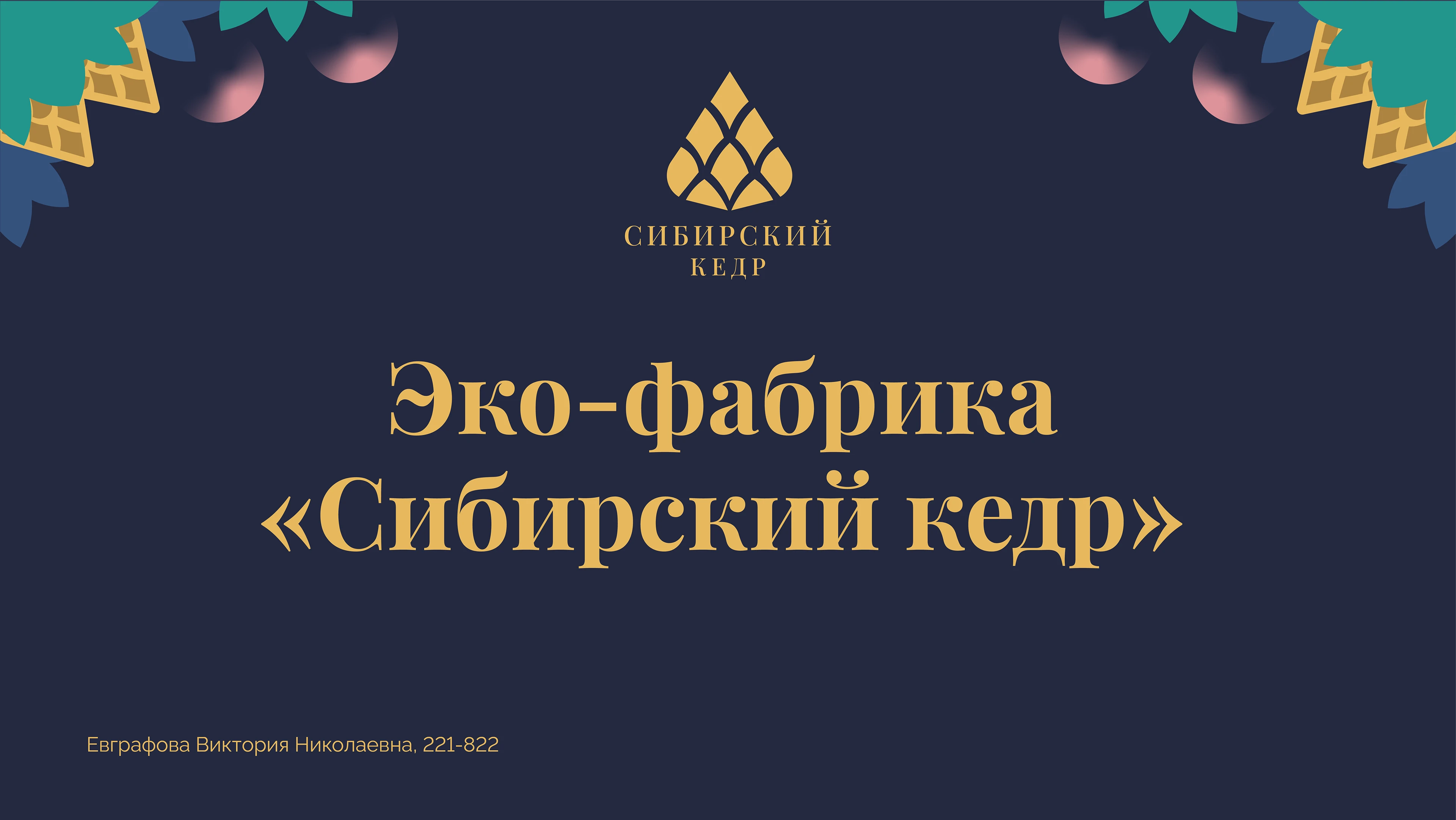 Дипломная работа — Изображение №1 — Брендинг на Dprofile