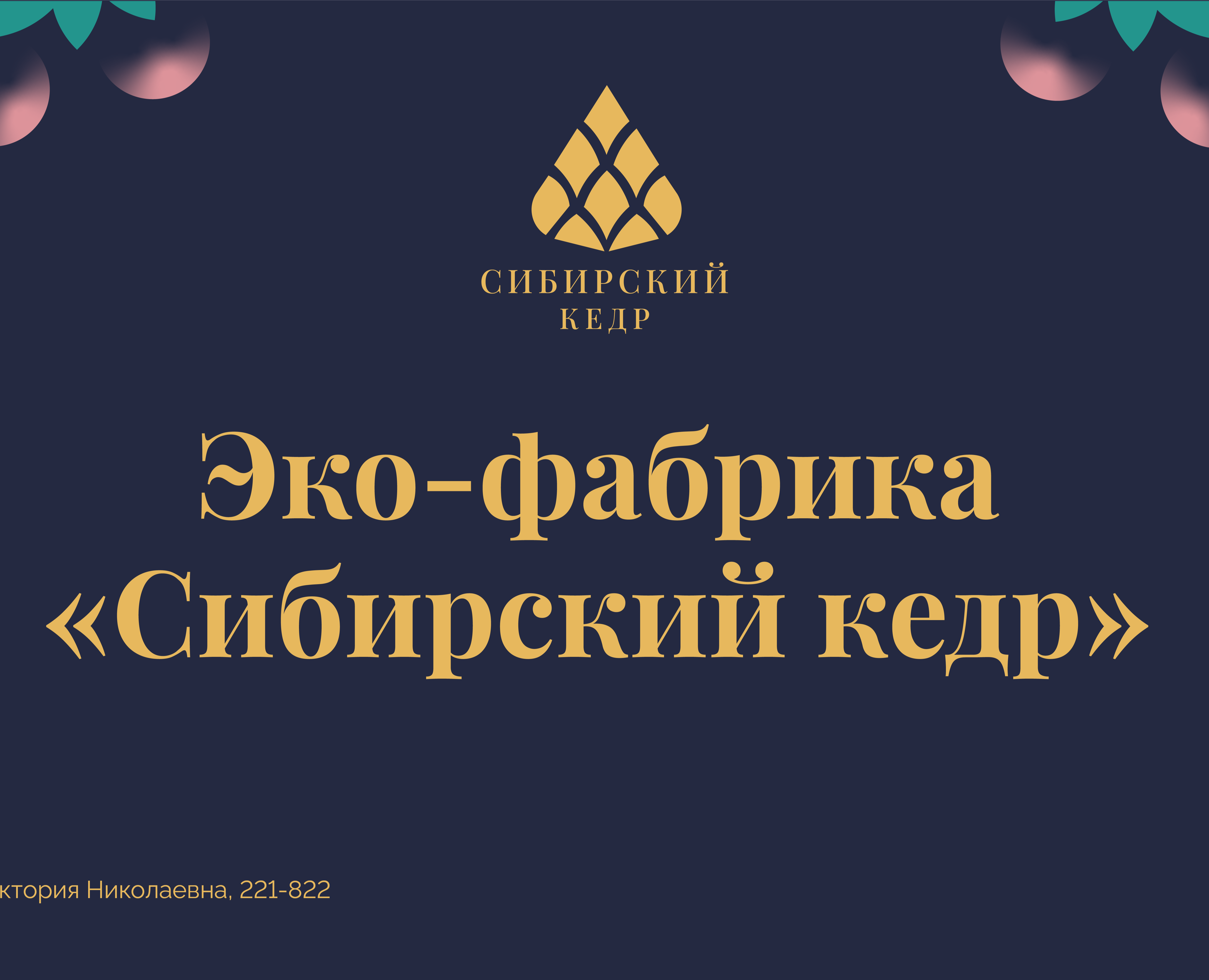 Дипломная работа — Брендинг на Dprofile