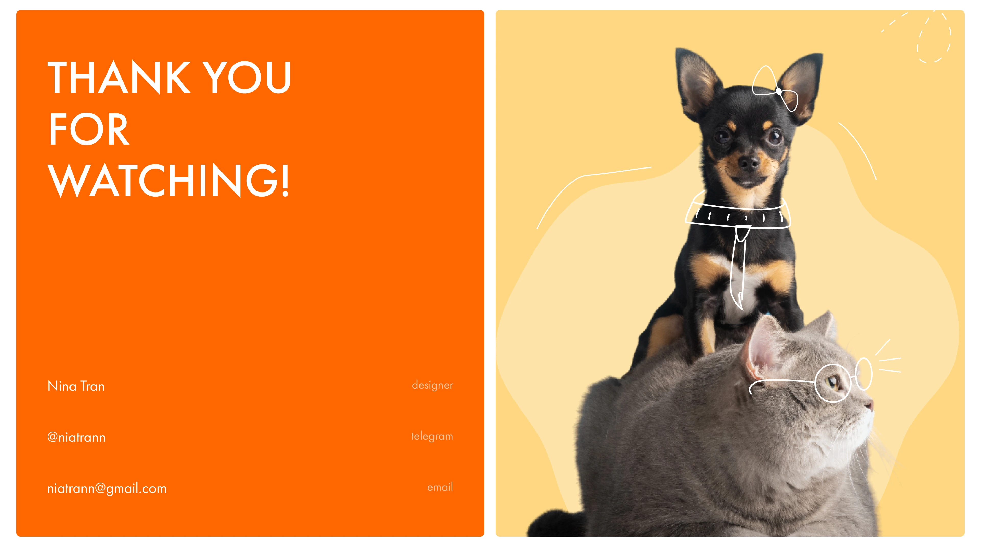 PAWPOINT — ветеринарная клиника — Изображение №13 — Интерфейсы на Dprofile