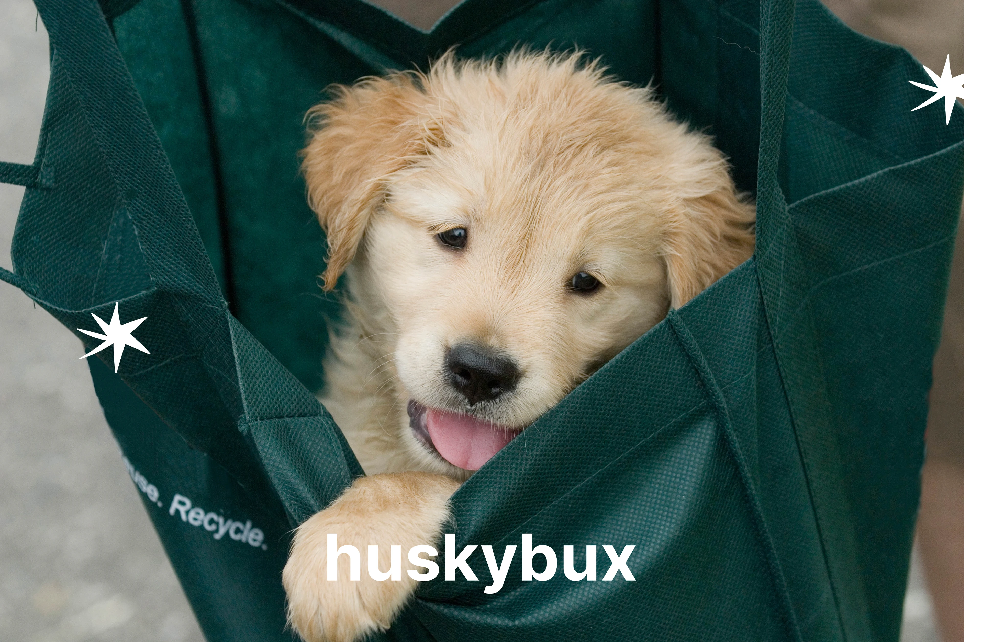 HUSKYBUX — Изображение №5 — Интерфейсы на Dprofile