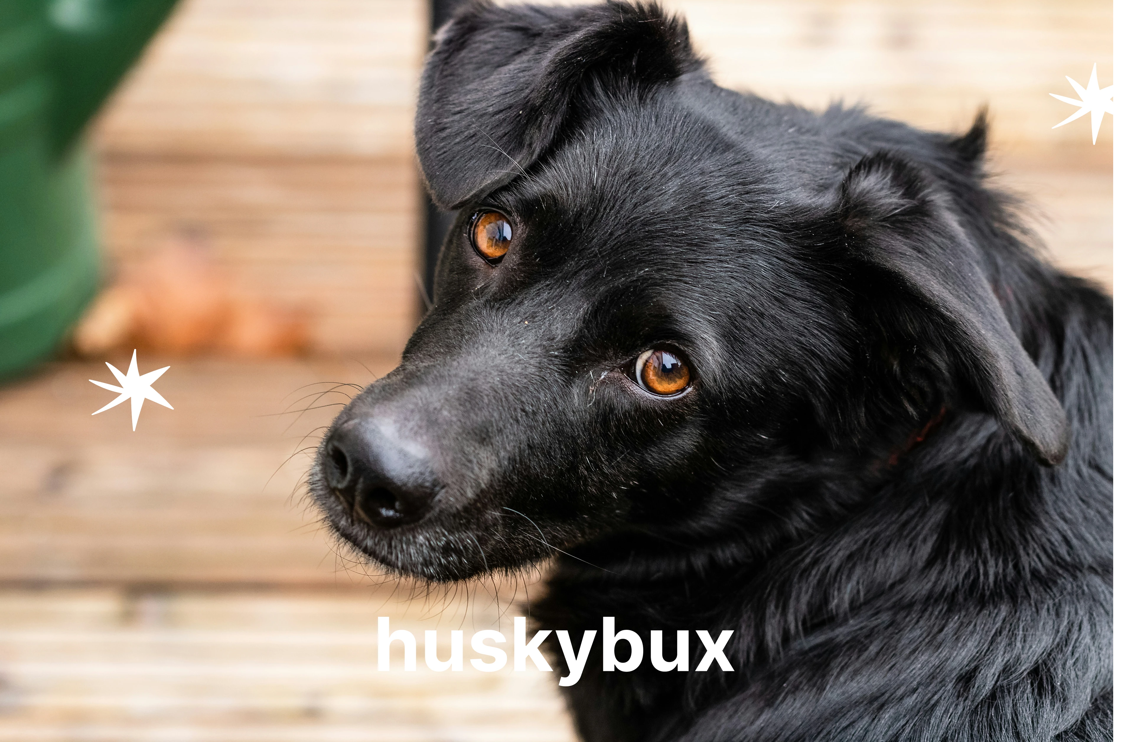 HUSKYBUX — Изображение №2 — Интерфейсы на Dprofile