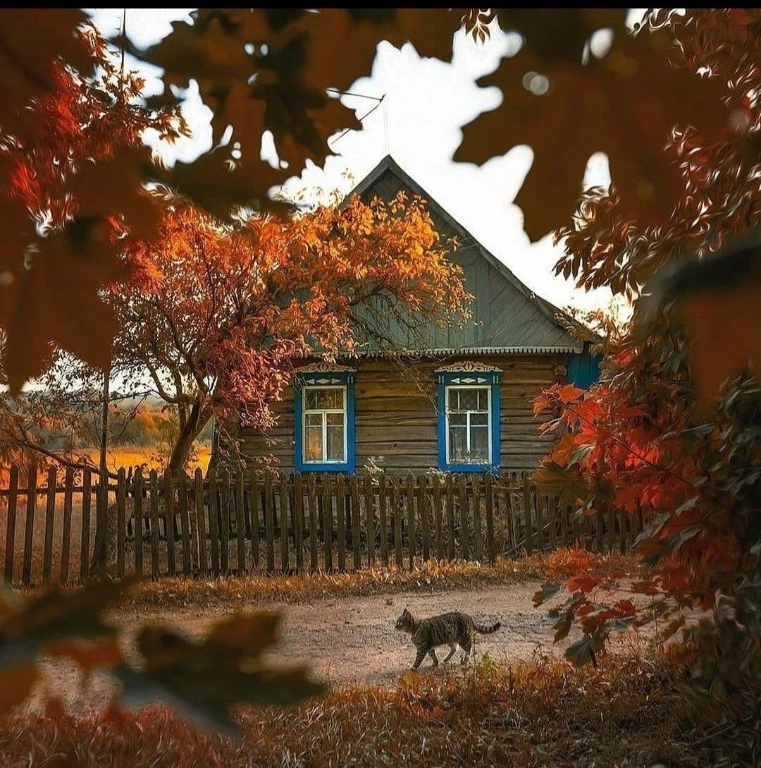 Инктобер2025 — Изображение №8 — Иллюстрация на Dprofile