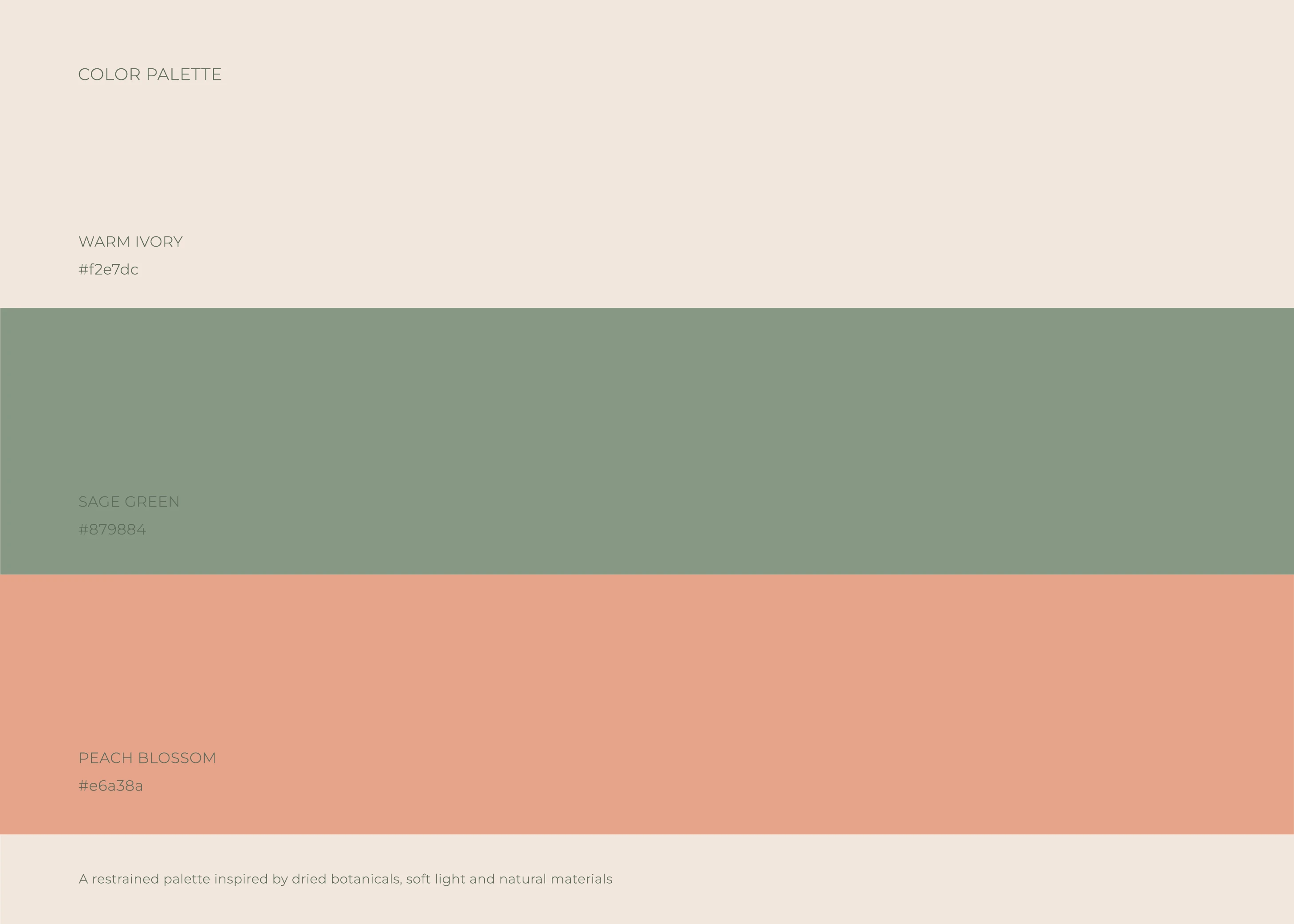 Florisse — Floral Brand Identity & Packaging — Изображение №6 — Брендинг на Dprofile