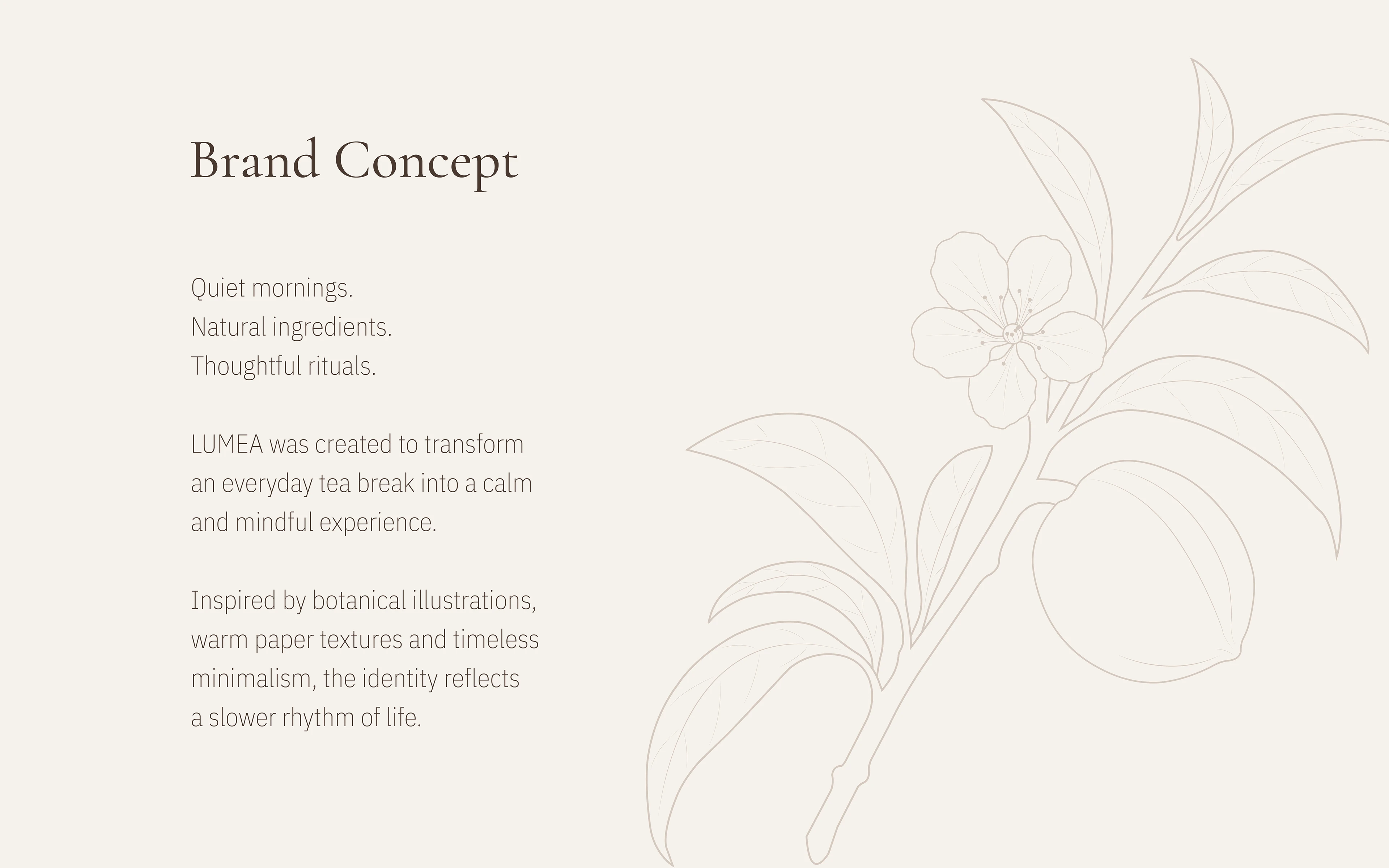 LUMEA — Botanical Tea Brand Identity | Packaging — Изображение №3 — Брендинг на Dprofile