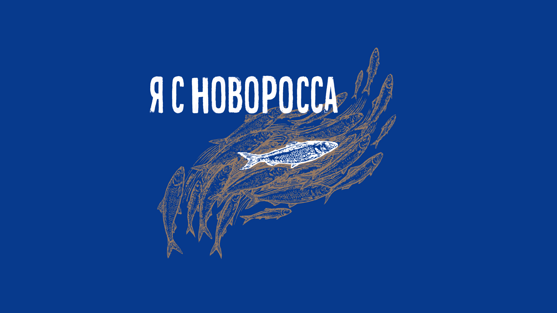 Новороссийск х Черноморец – мерч — Изображение №12 — Брендинг, Графика на Dprofile