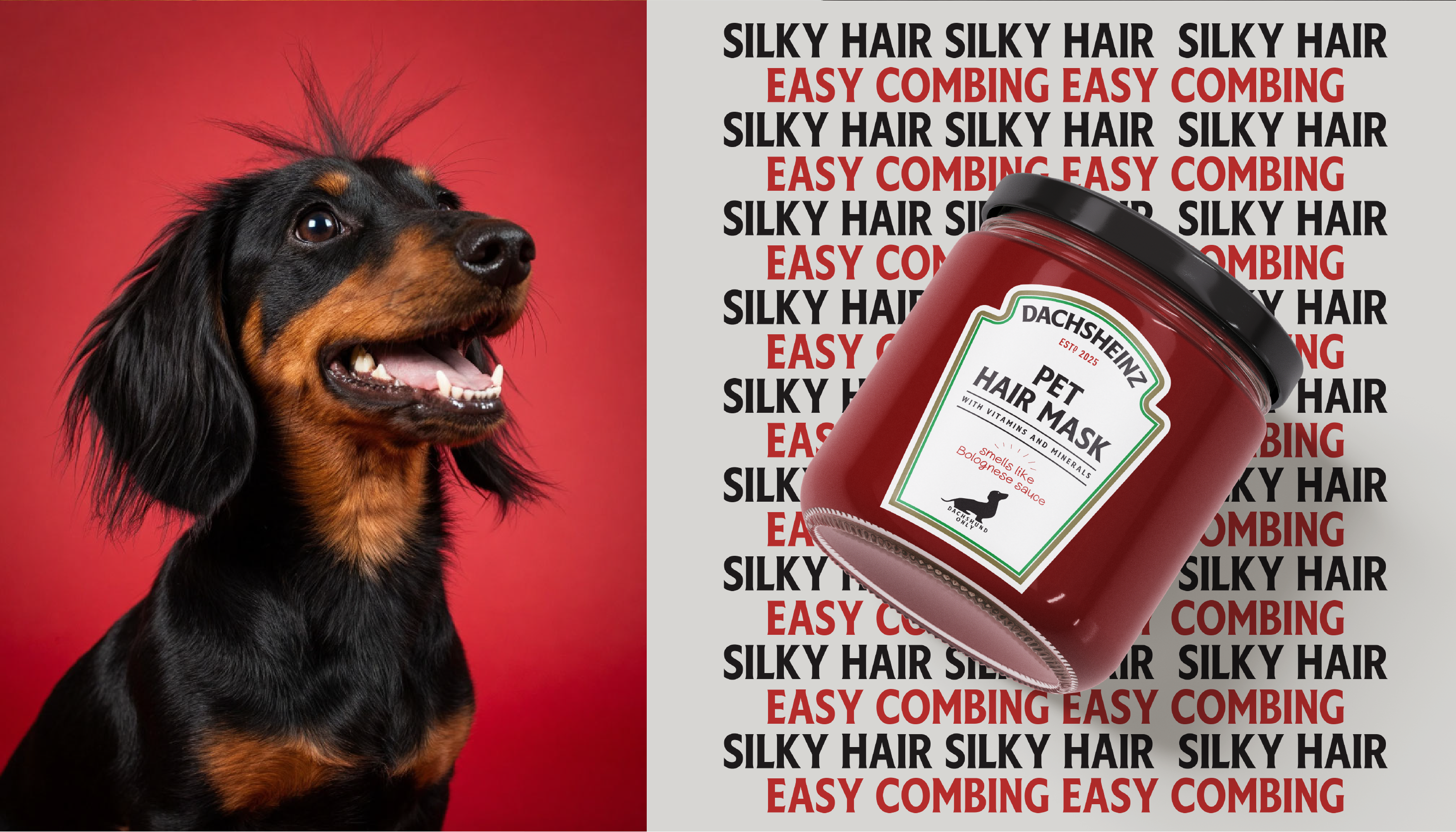 DACHSHEINZ — Изображение №5 — Брендинг на Dprofile