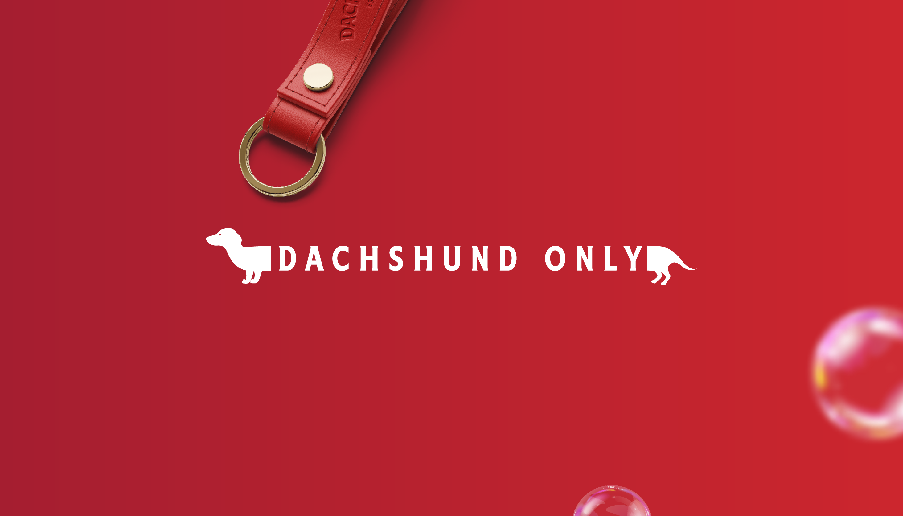 DACHSHEINZ — Изображение №8 — Брендинг на Dprofile