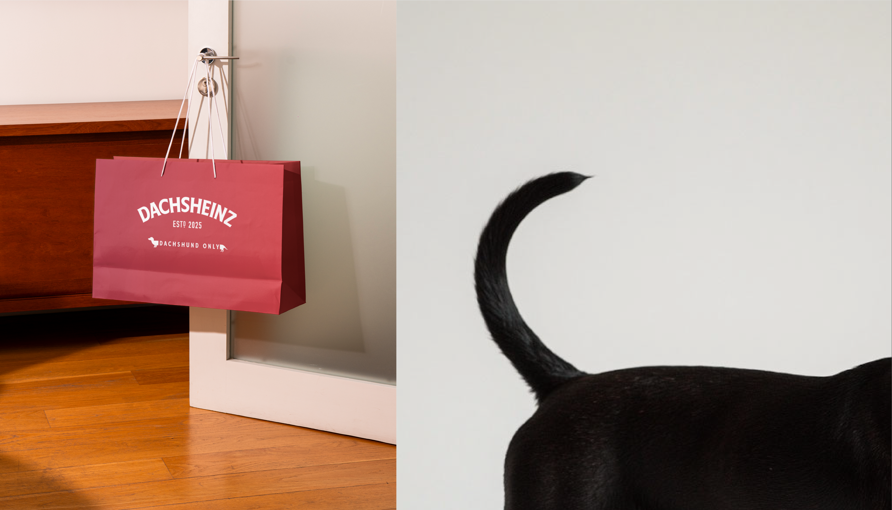 DACHSHEINZ — Изображение №4 — Брендинг на Dprofile