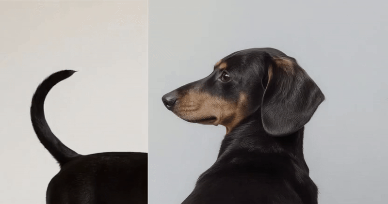 DACHSHEINZ — Изображение №13 — Брендинг на Dprofile