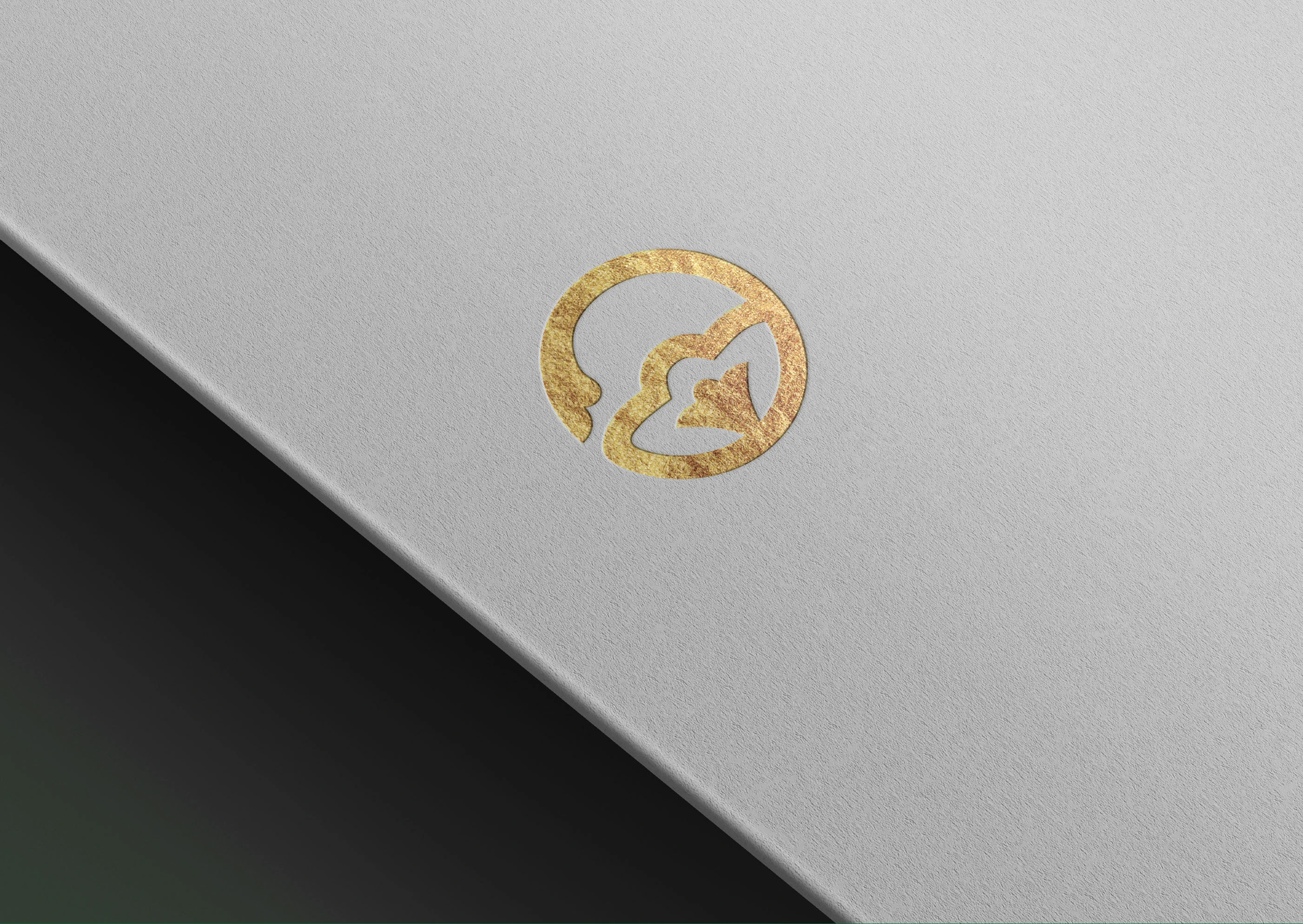 Логотип для репетитора татарского языка — Изображение №3 — Брендинг, Графика на Dprofile