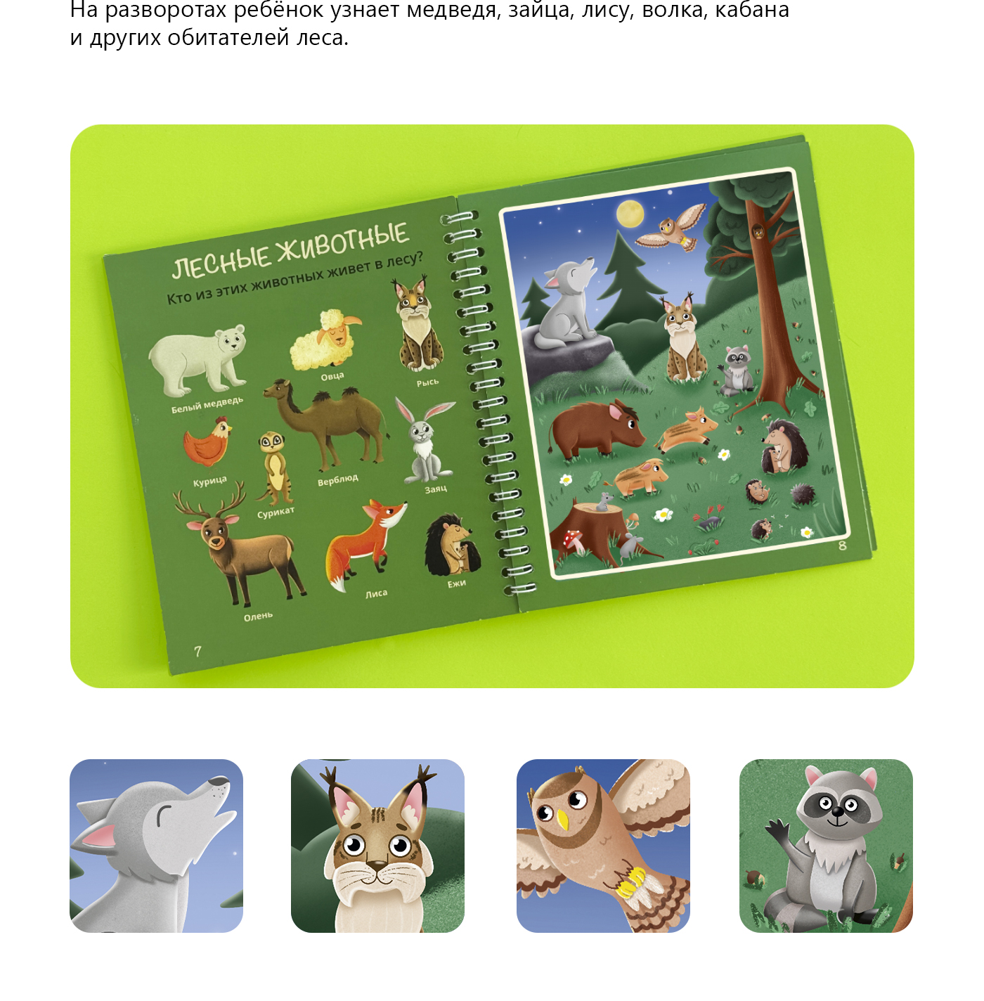 Многоразовая водная раскраска с животными — Изображение №9 — Иллюстрация на Dprofile