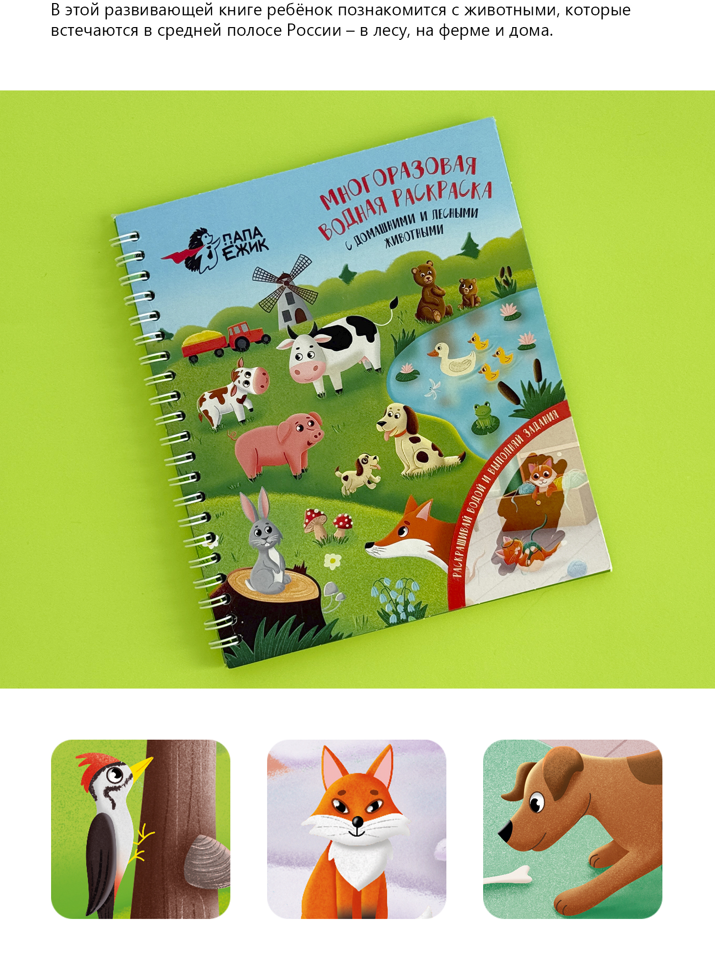 Многоразовая водная раскраска с животными — Изображение №3 — Иллюстрация на Dprofile