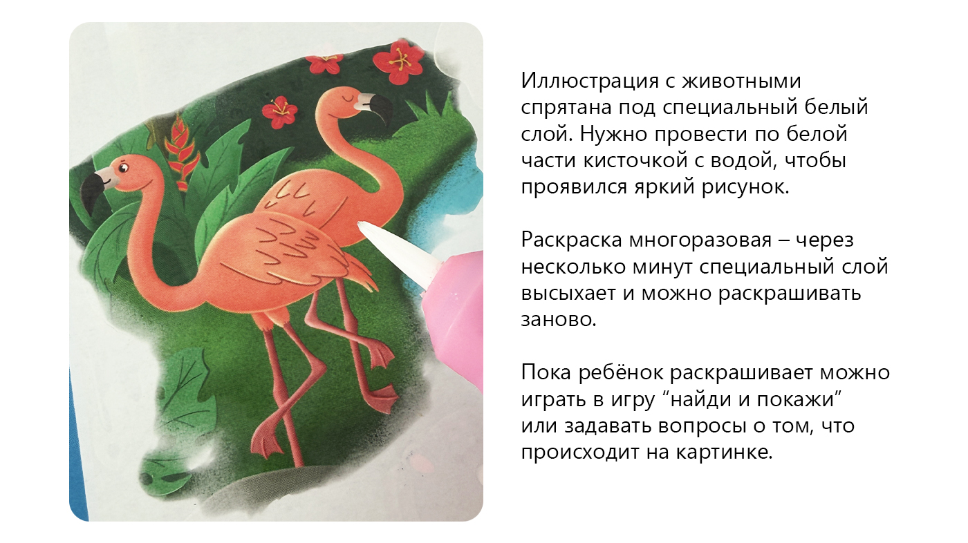 Водная раскраска с животными со всего света — Изображение №4 — Иллюстрация на Dprofile