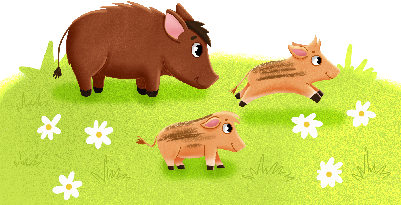 Многоразовая водная раскраска с животными — Изображение №10 — Иллюстрация на Dprofile