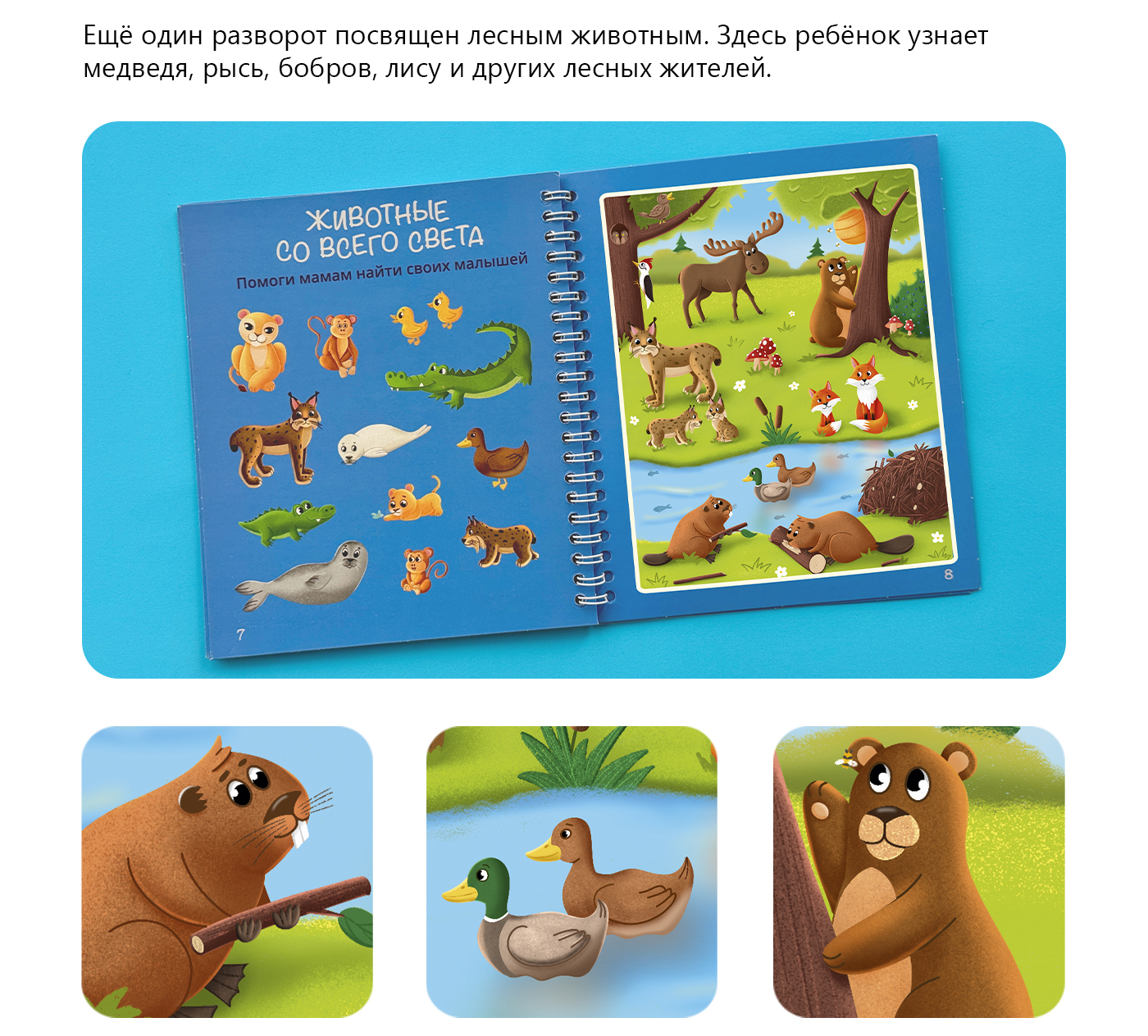 Водная раскраска с животными со всего света — Изображение №8 — Иллюстрация на Dprofile