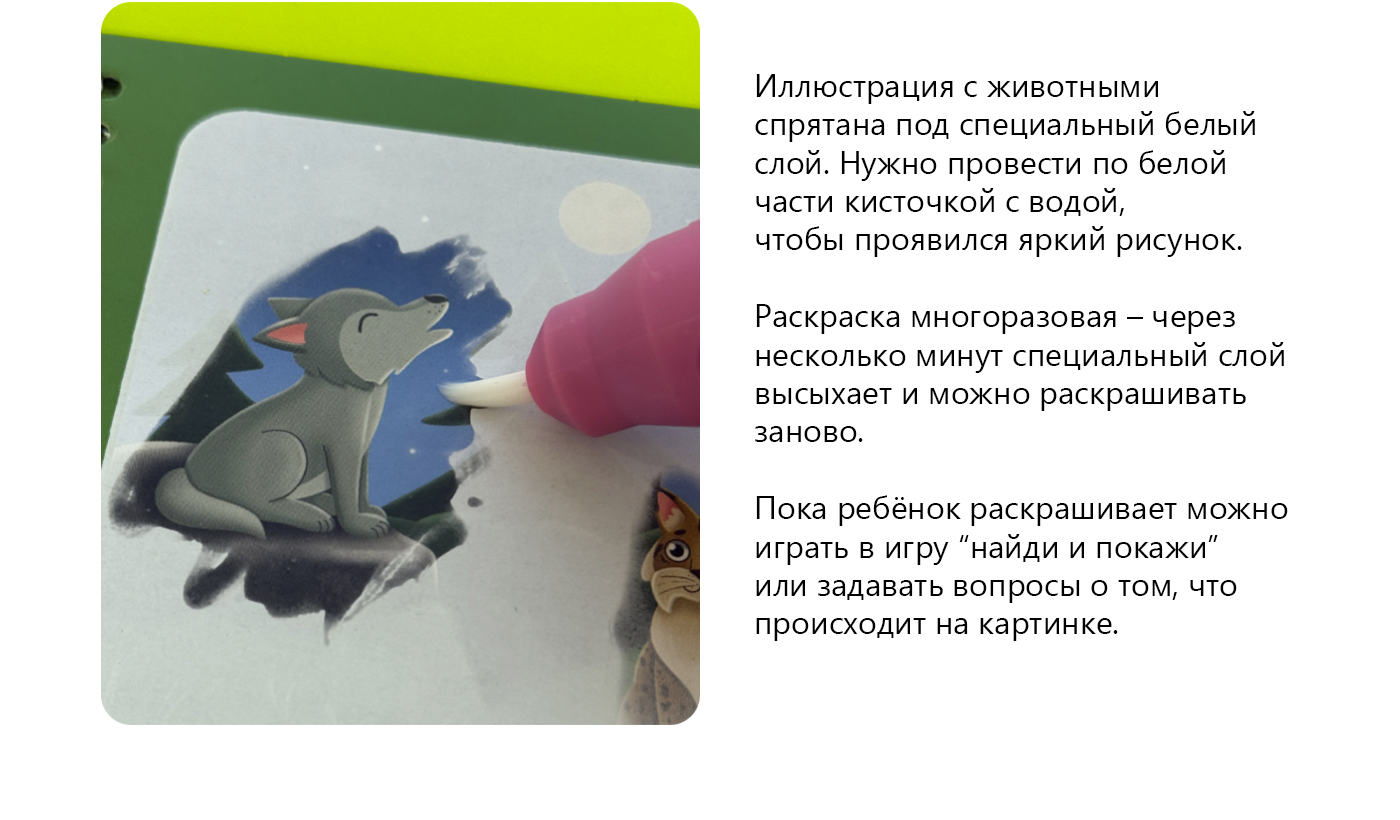 Многоразовая водная раскраска с животными — Изображение №4 — Иллюстрация на Dprofile