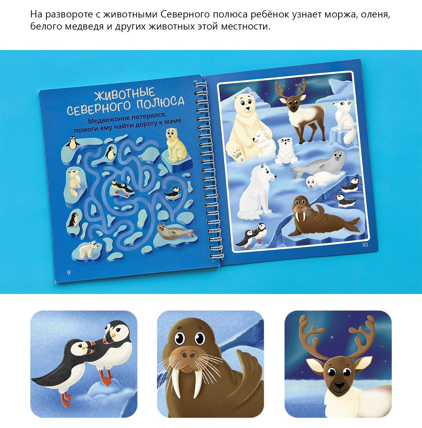 Водная раскраска с животными со всего света — Изображение №9 — Иллюстрация на Dprofile