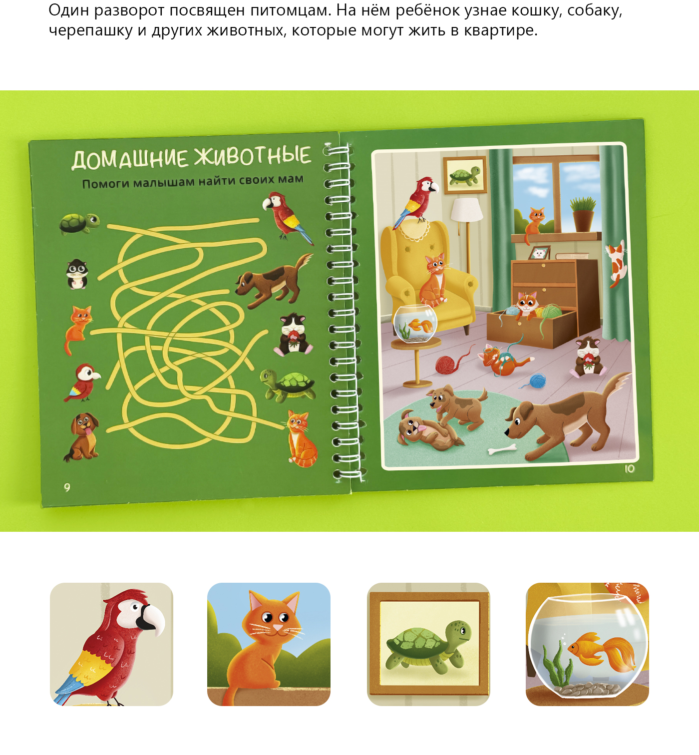 Многоразовая водная раскраска с животными — Изображение №7 — Иллюстрация на Dprofile