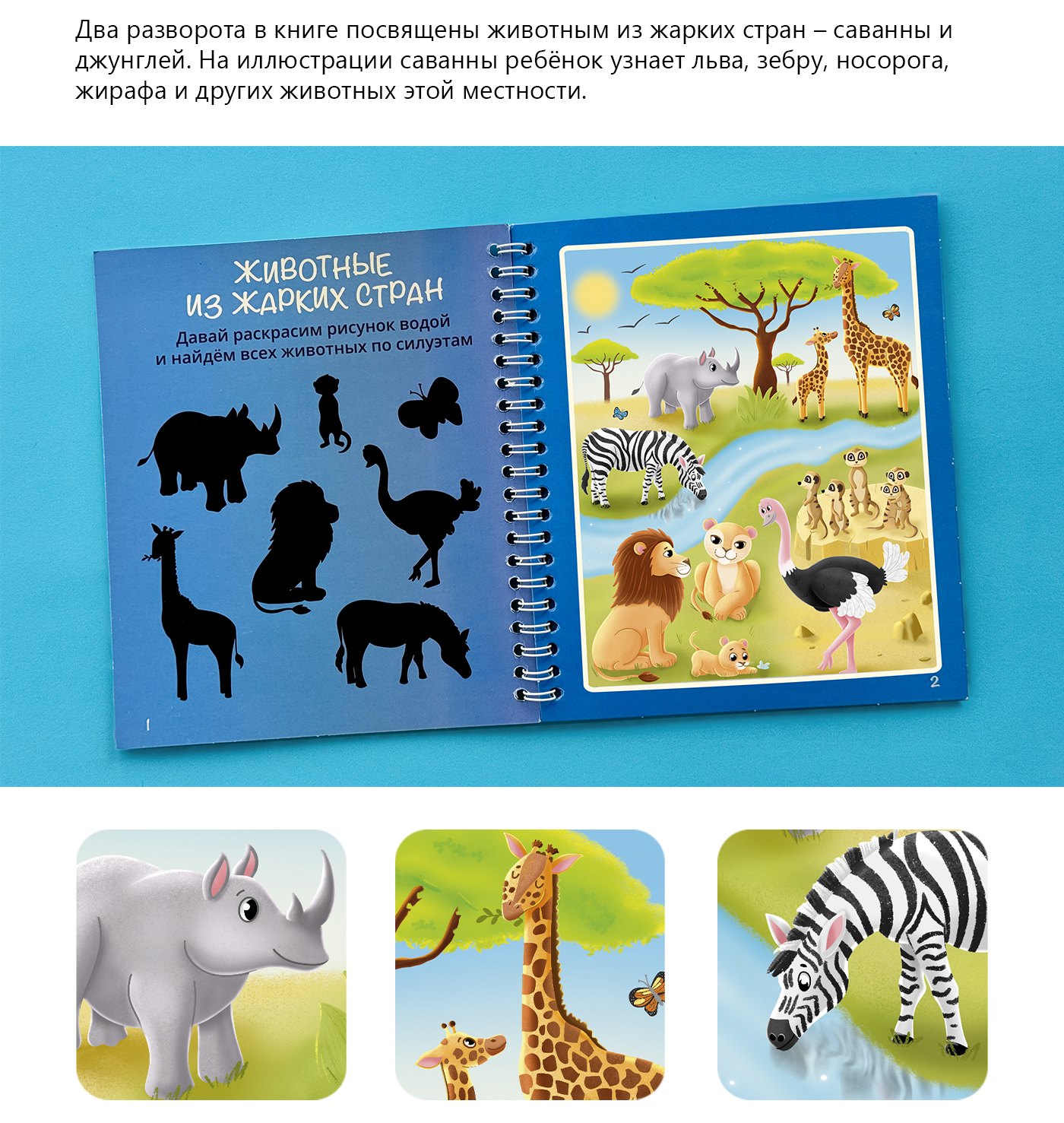 Водная раскраска с животными со всего света — Изображение №5 — Иллюстрация на Dprofile