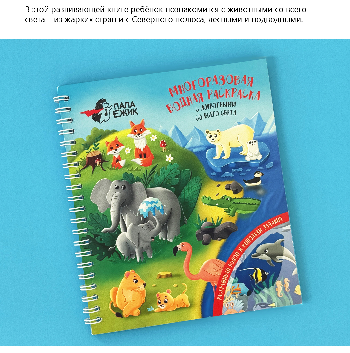 Водная раскраска с животными со всего света — Изображение №3 — Иллюстрация на Dprofile