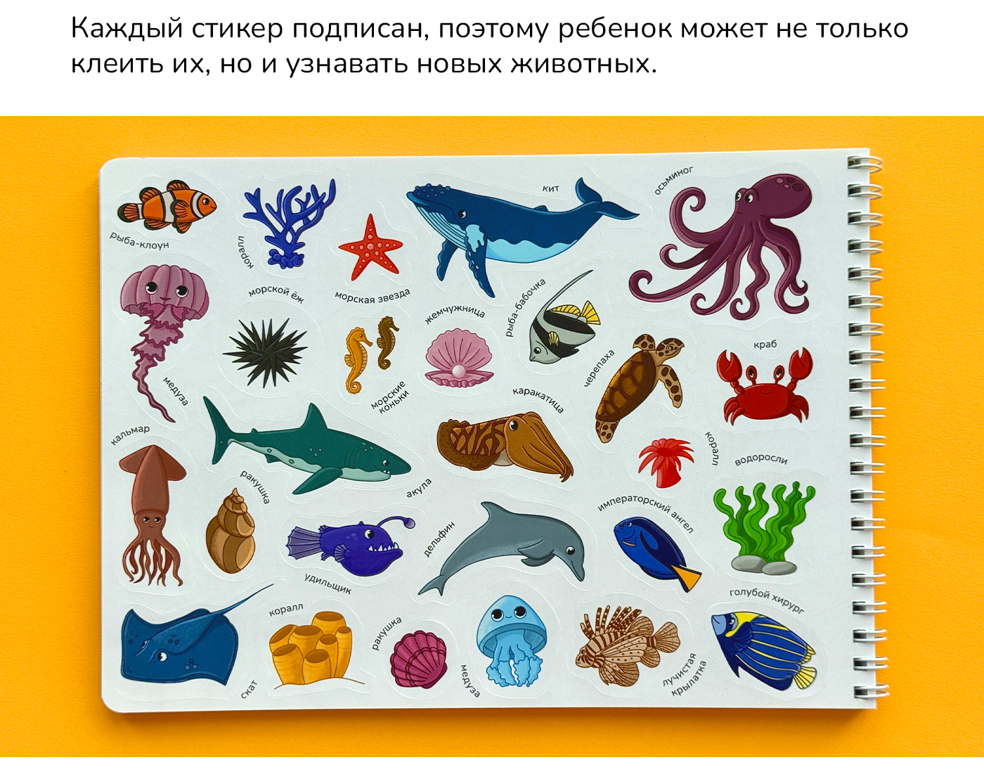 Стикербук Планета Животных — Изображение №5 — Иллюстрация на Dprofile