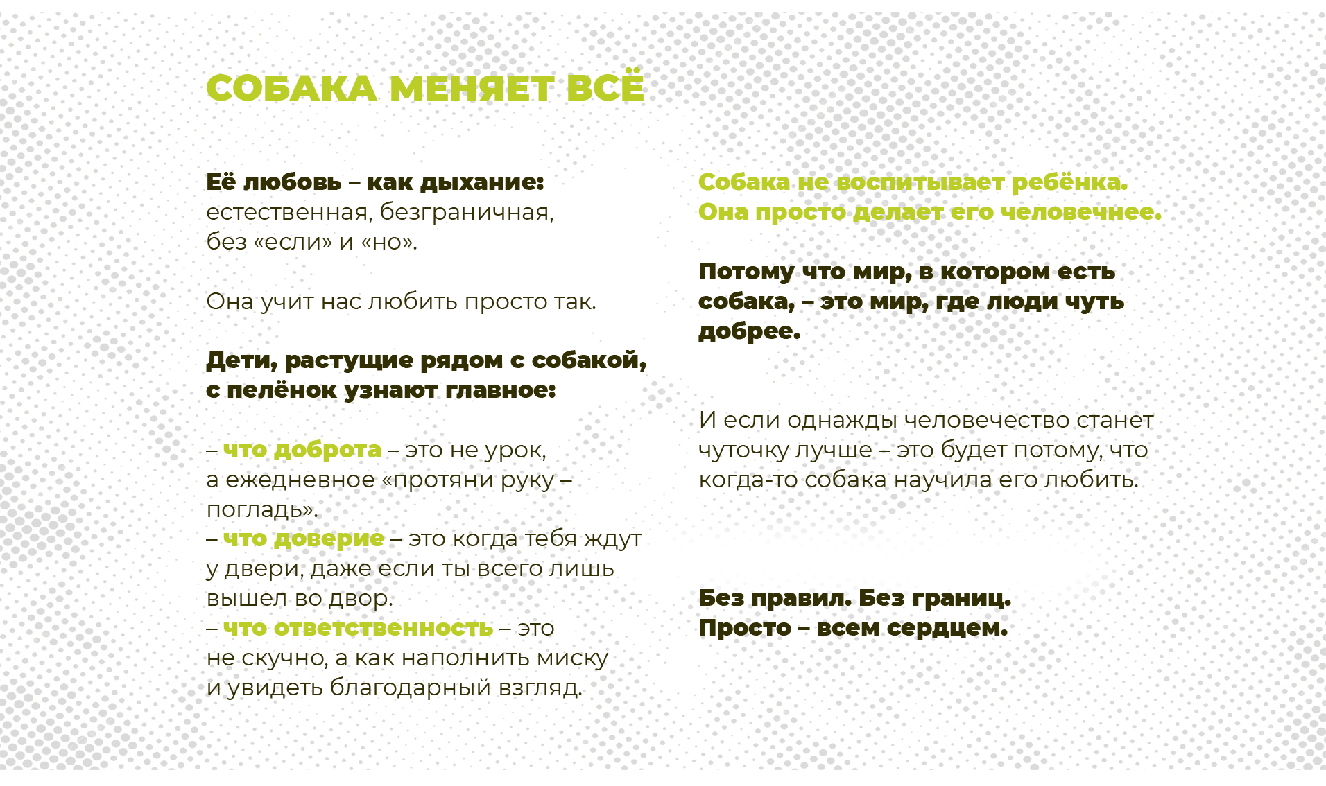 Проект мерча «Жизнь с собакой в большом городе» — Изображение №3 — Брендинг, Иллюстрация на Dprofile