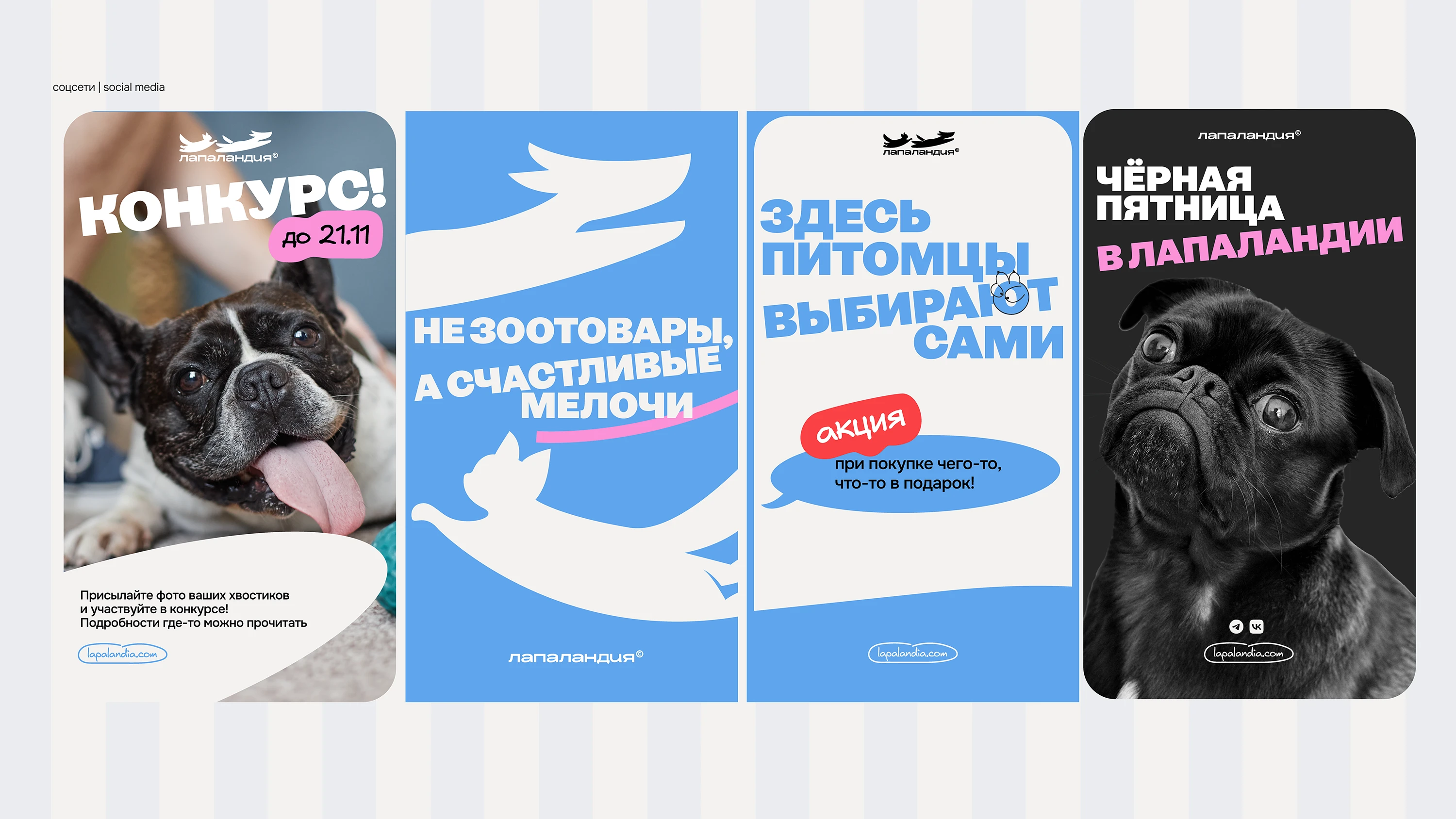 Айдентика бренда зоотоваров — Изображение №4 — Брендинг, Анимация на Dprofile