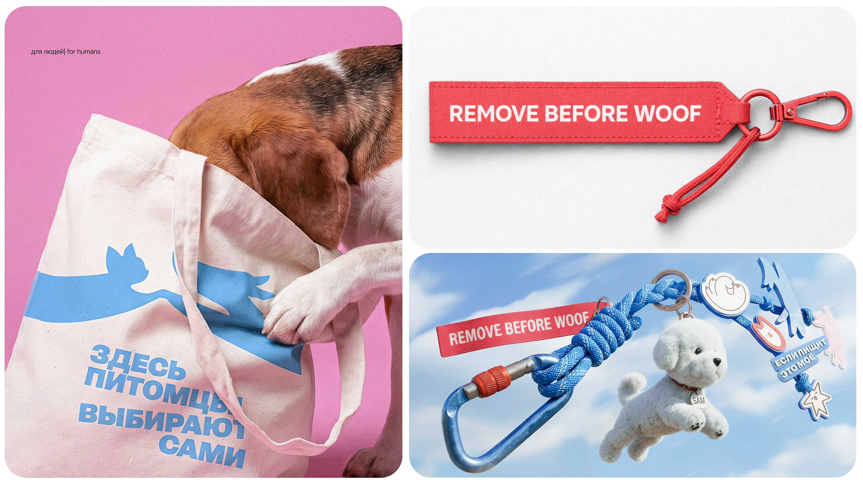 Айдентика бренда зоотоваров — Изображение №14 — Брендинг, Анимация на Dprofile